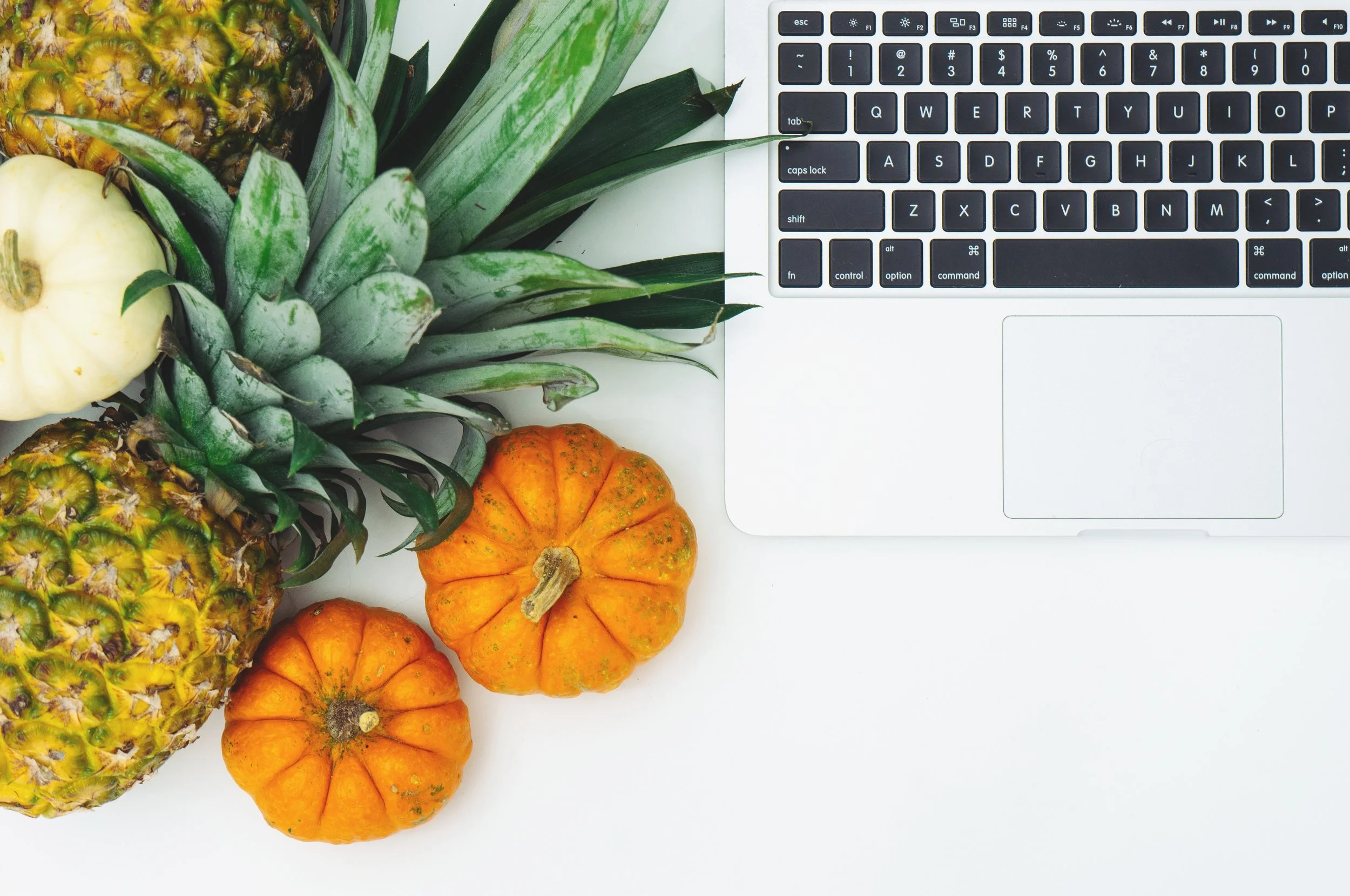 Laptop-bright-color-delicious-pineapple-204692.jpg