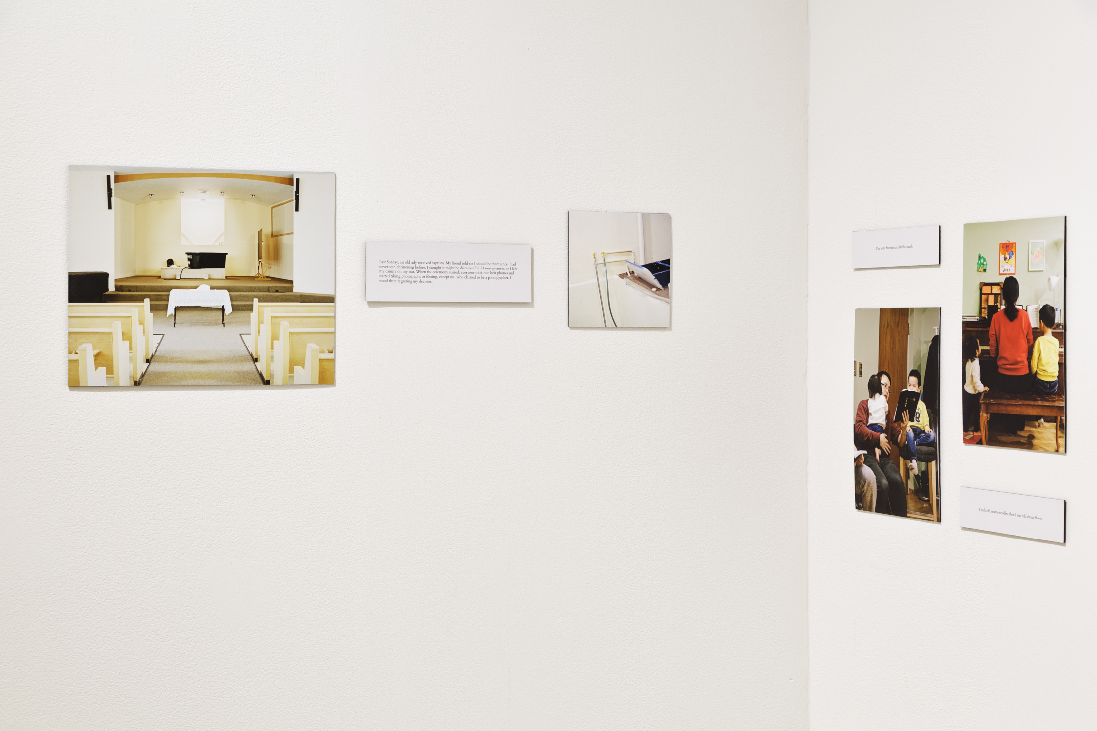 SAIC Fall BFA Show, Sullivan Gallery, Chicago, USA