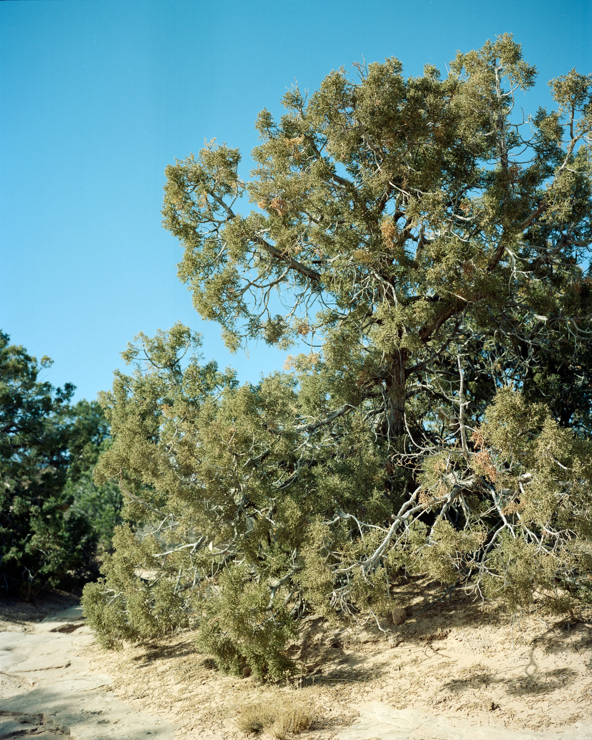 national parks_004.jpg