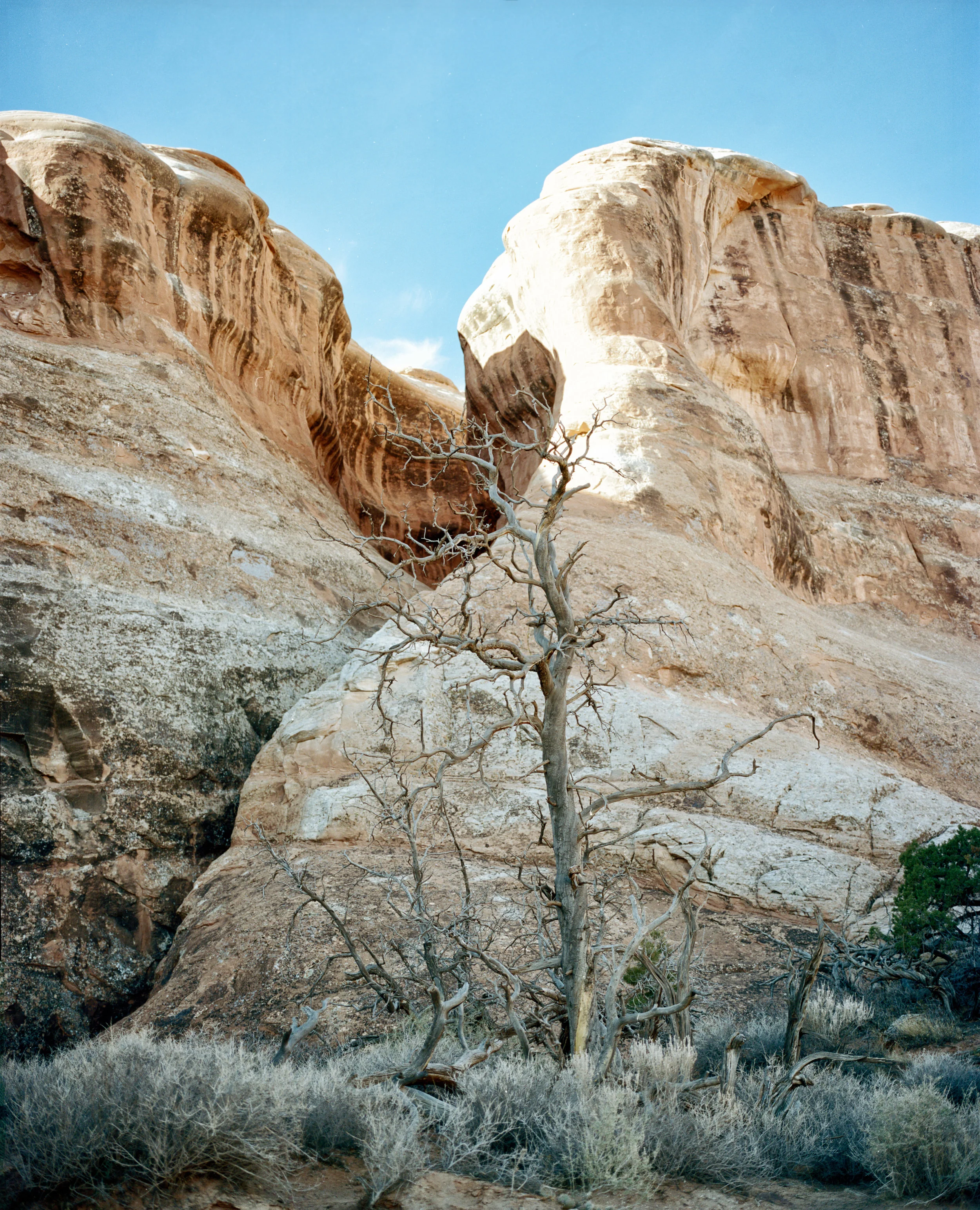 national parks_007.jpg