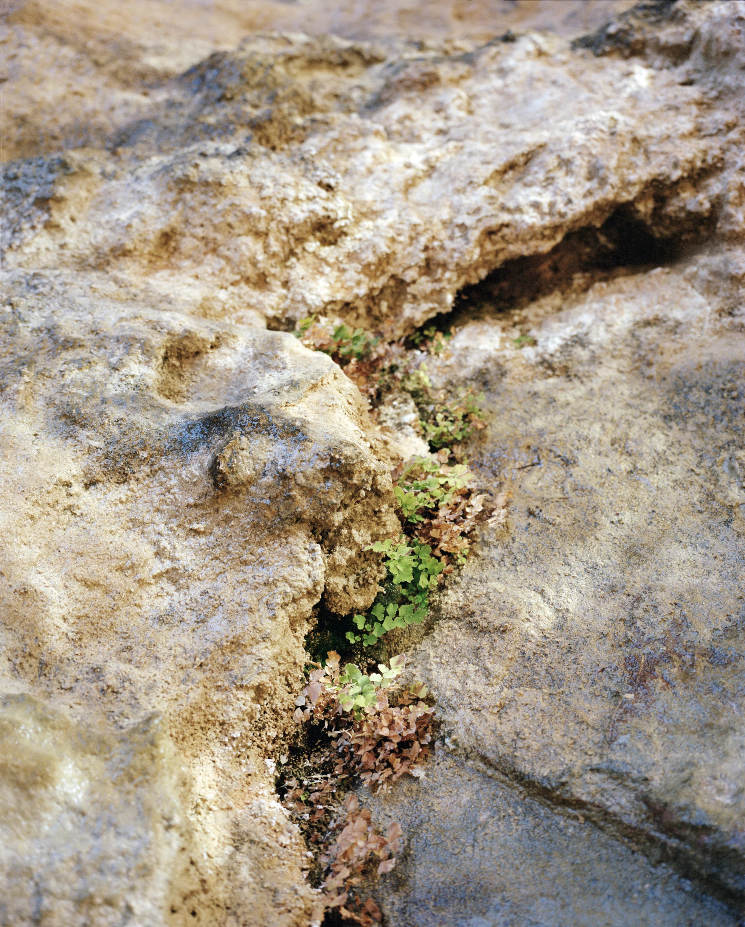 national parks_009.jpg