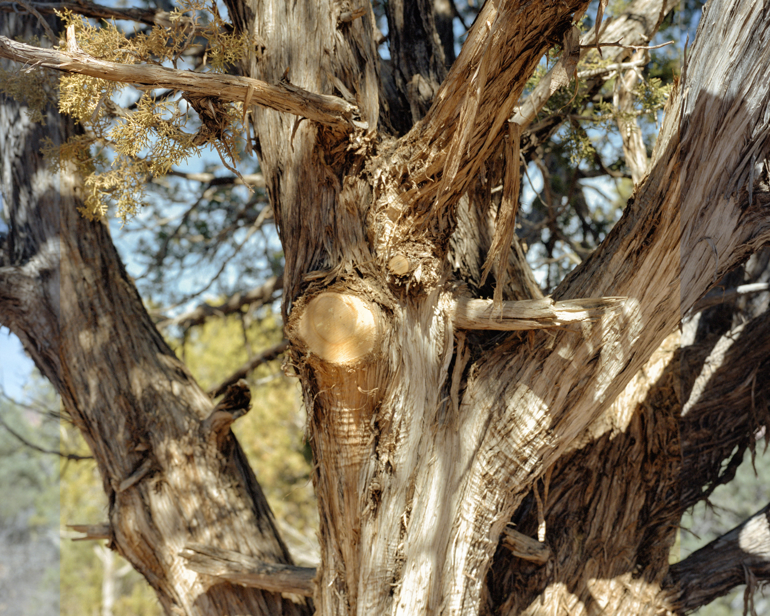 national parks_015.jpg