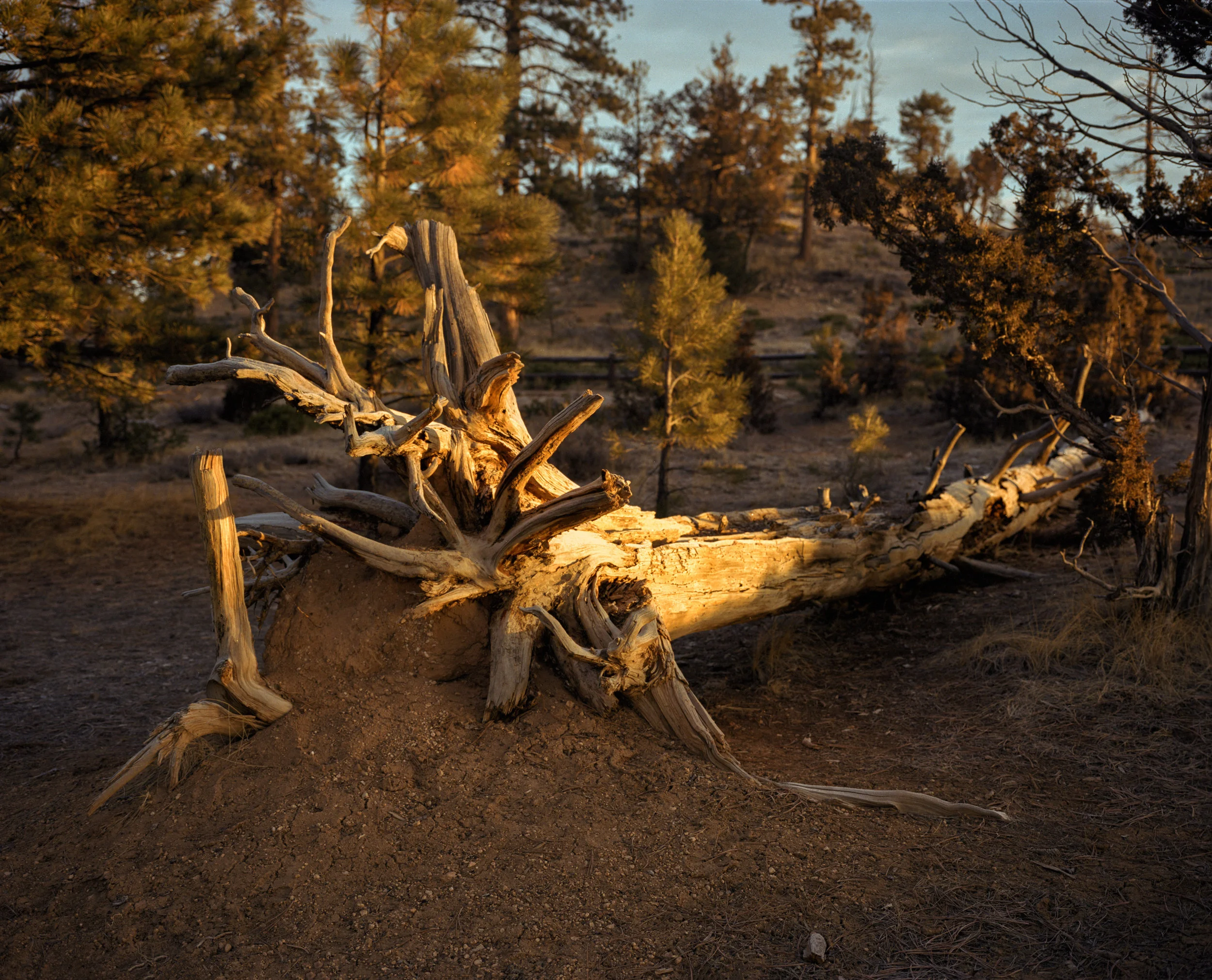 national parks_002_1.jpg