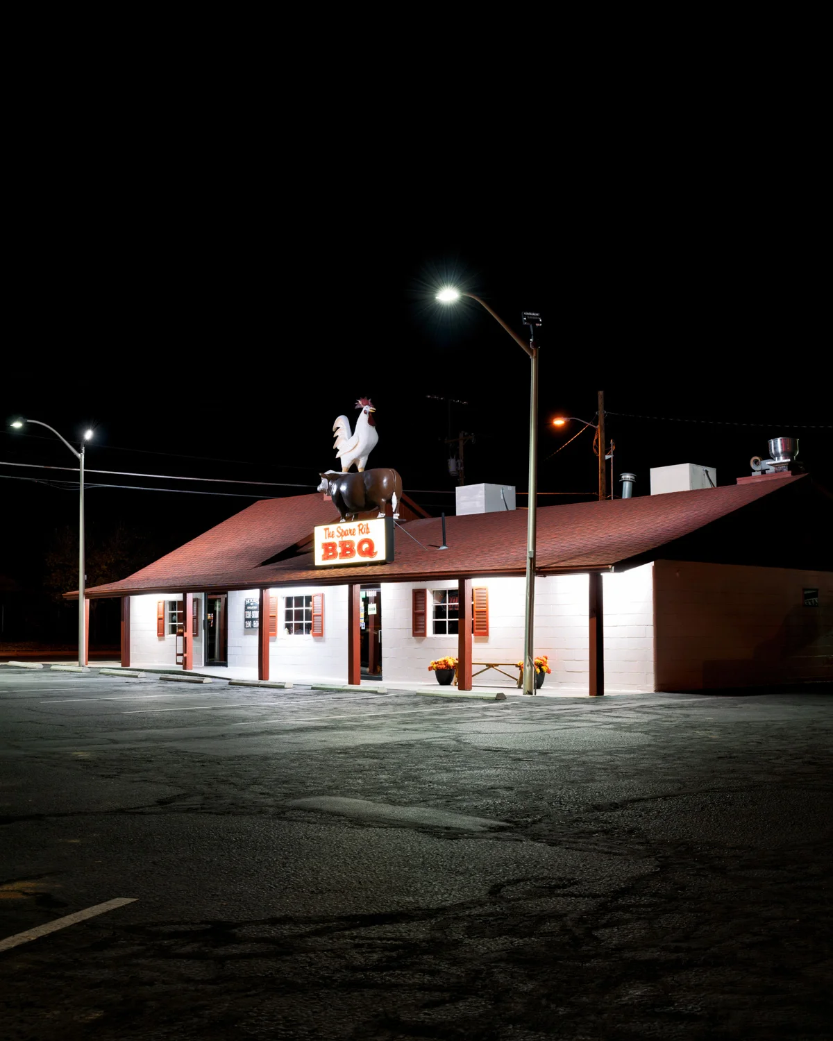 night-rooster-2.jpg