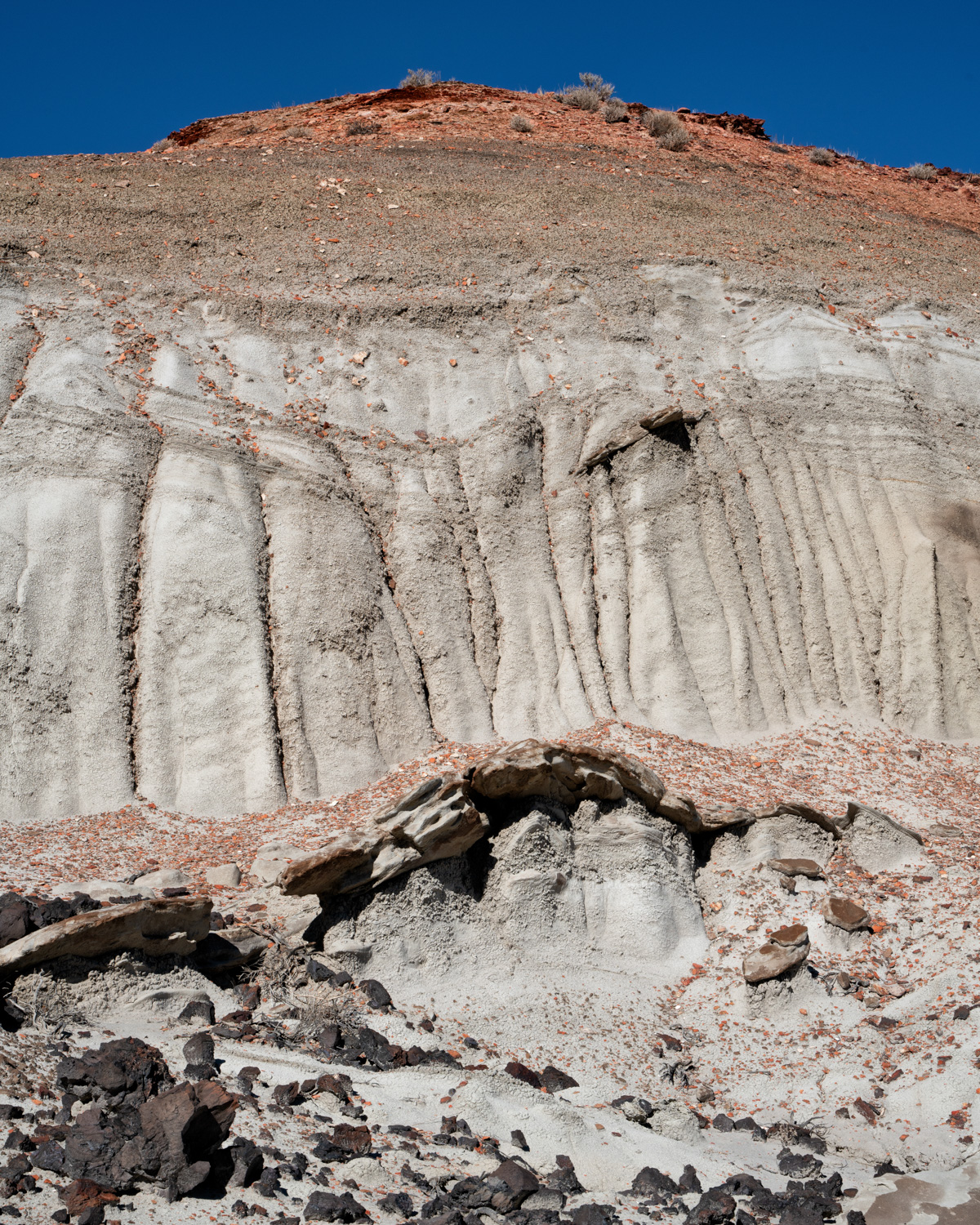 bisti_1.jpg