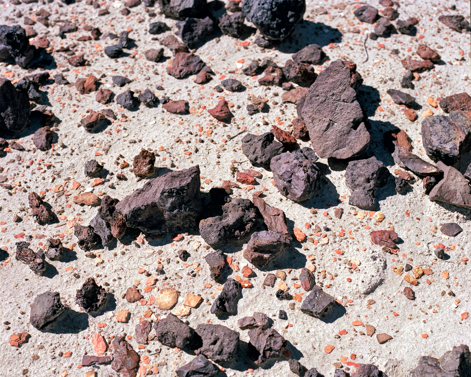 rock-in-bisti.jpg