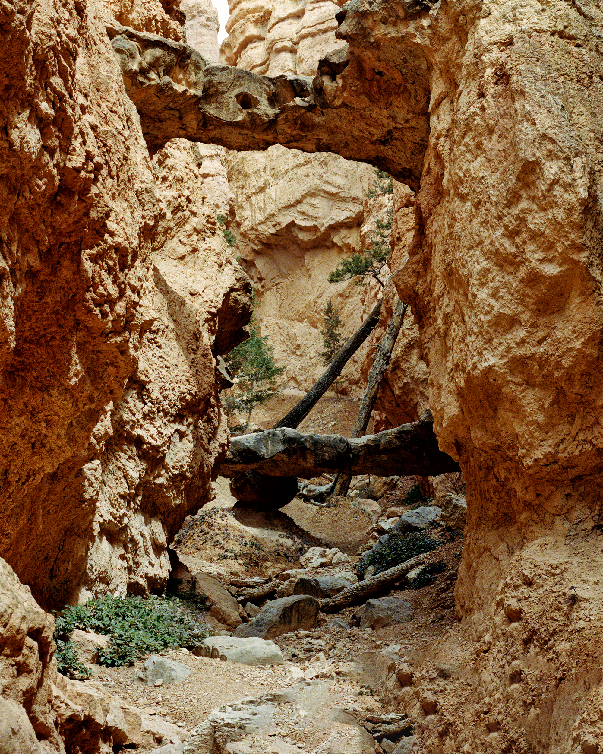 bryce-bridge.jpg