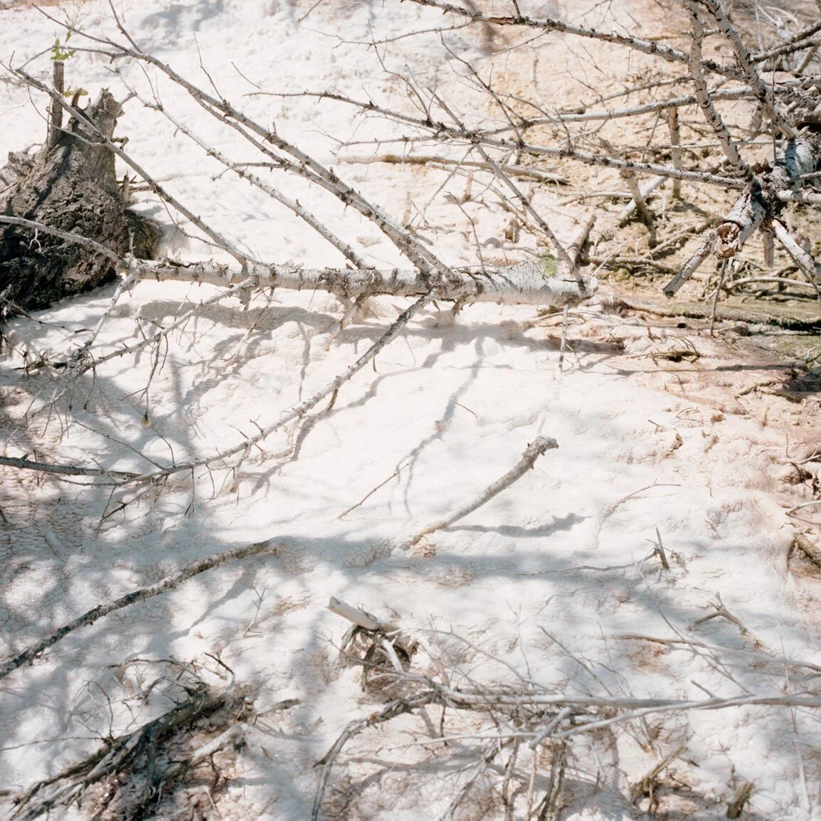 yellowstone-portra-400-070-Edit-Edit.jpg