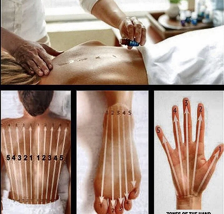 YES Acupressure.jpg