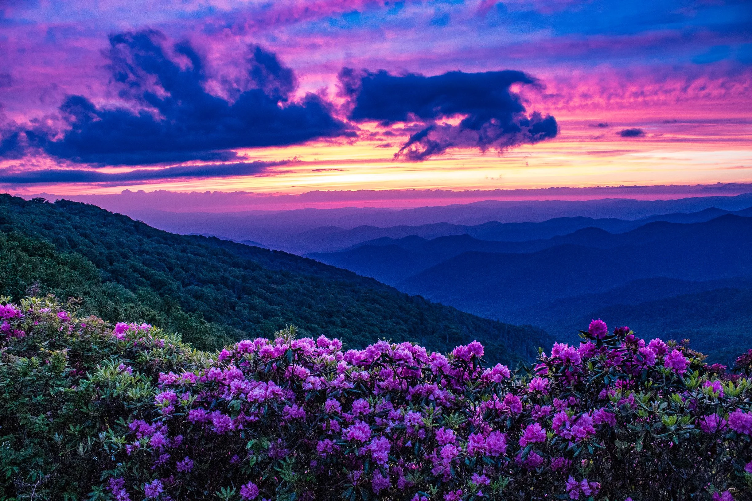 My 2019 Project - The Great Craggy Mountains