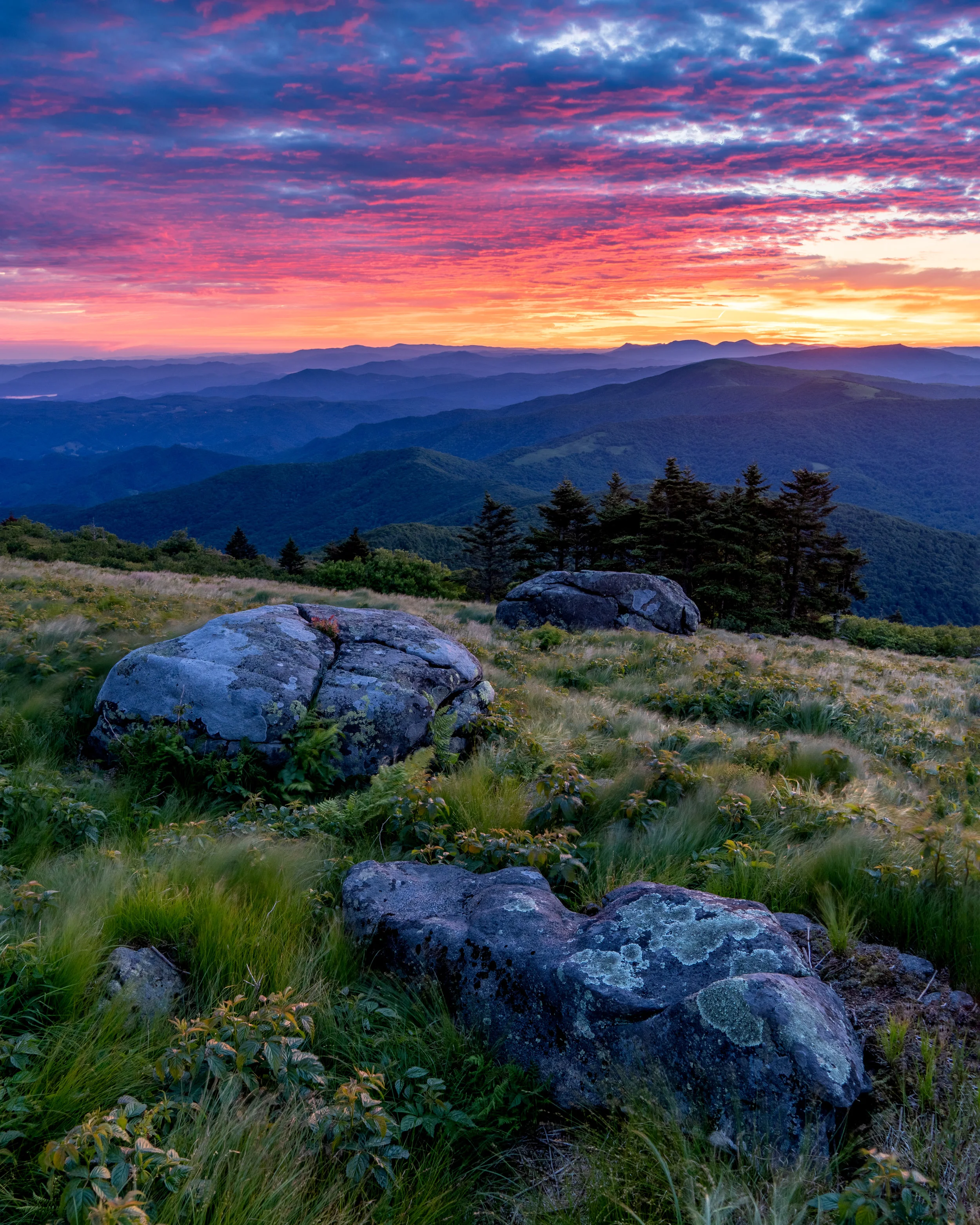 Rise at Dawn