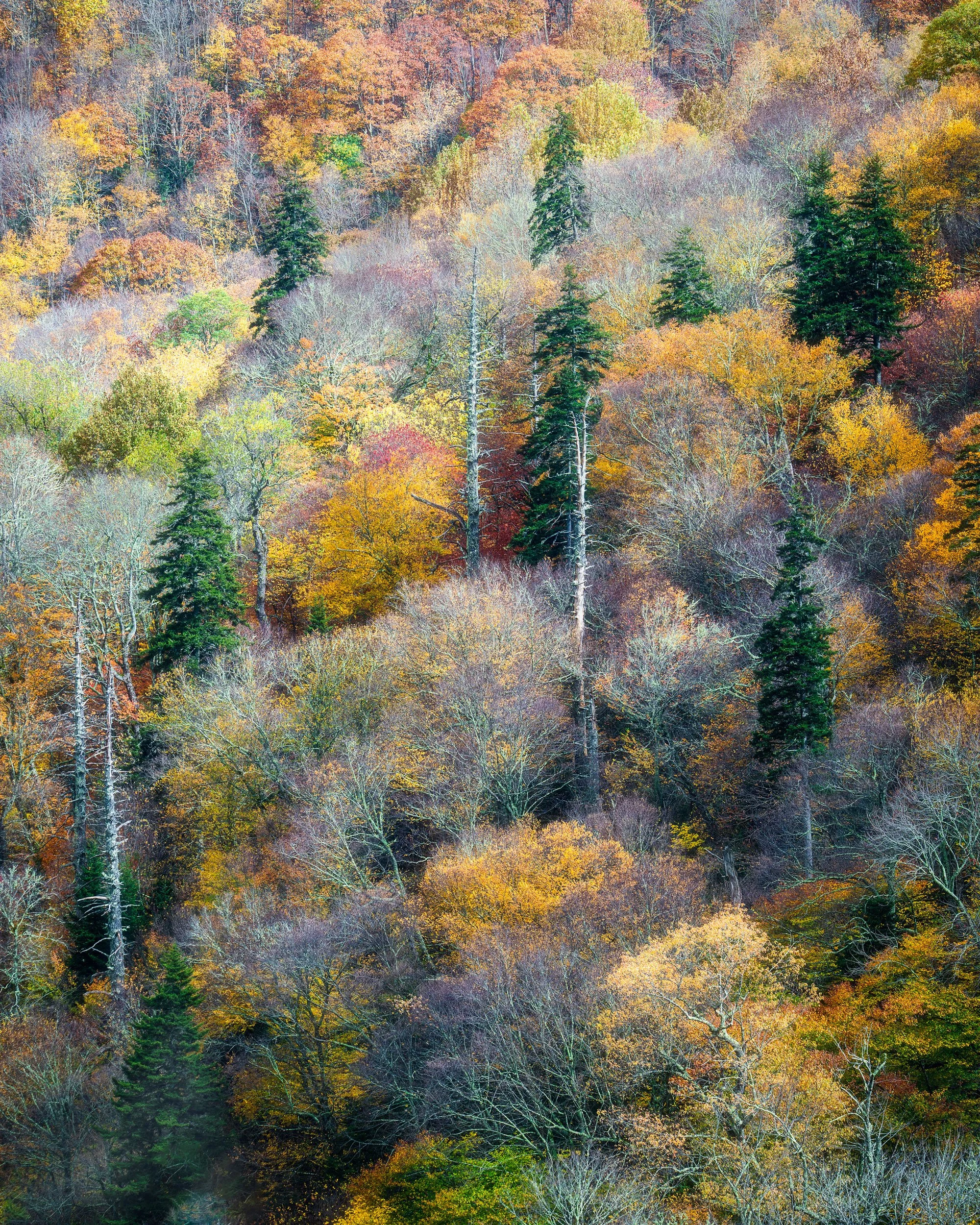20251019-DSC08159-Edit.jpg