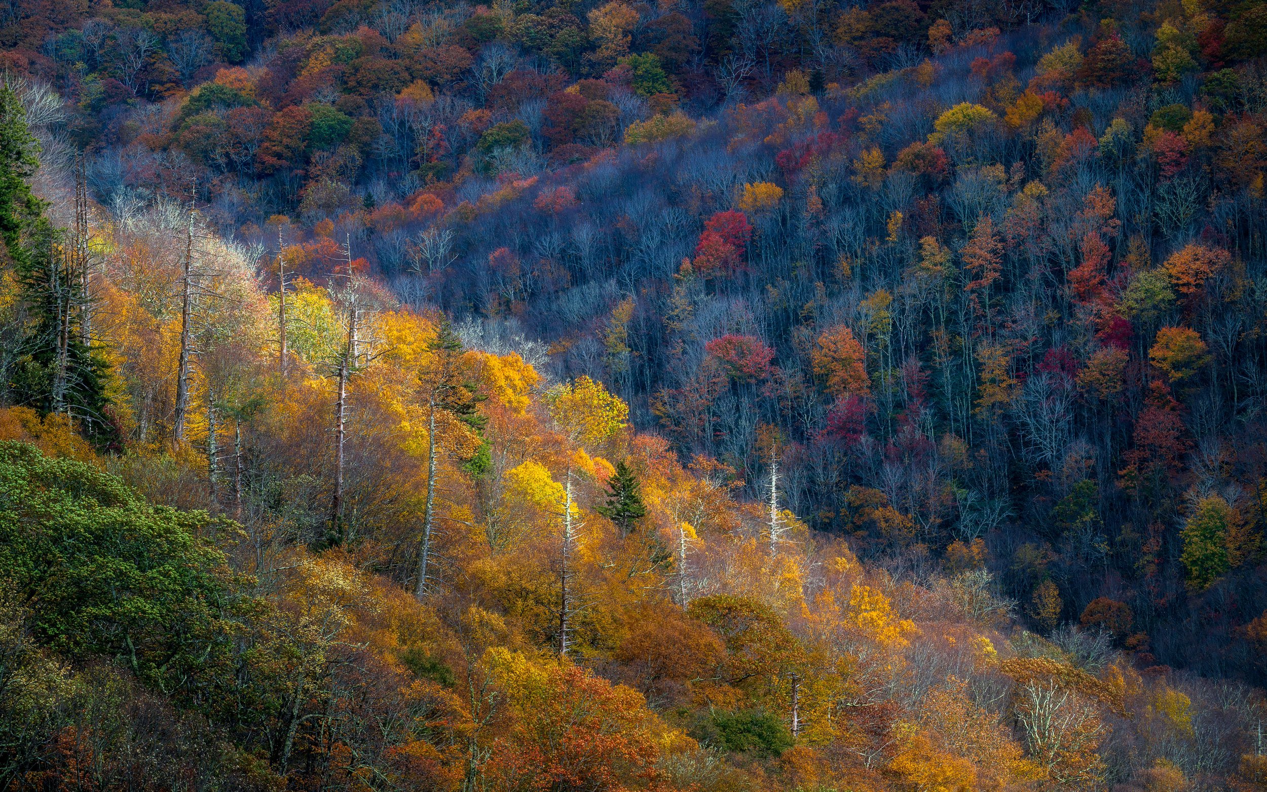 20251019-DSC08183-Edit.jpg