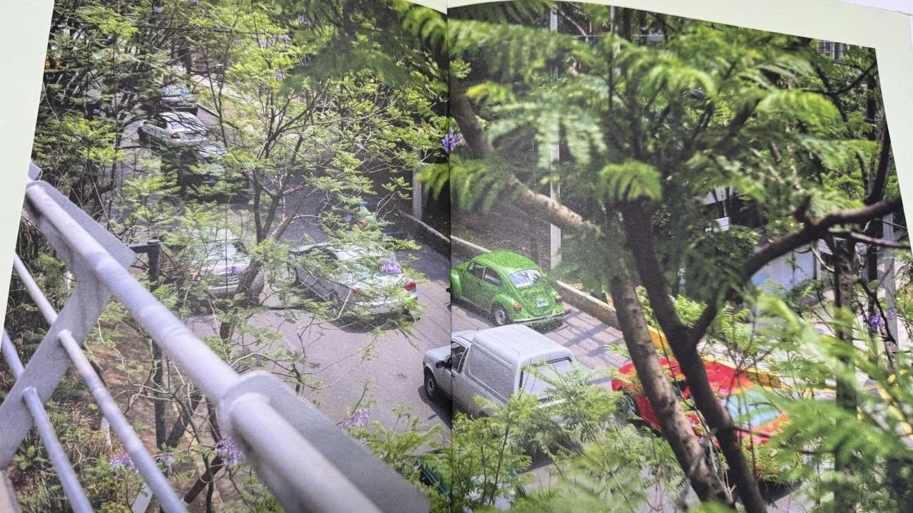 Volkswagen Beetle Book - Vochos Unidos