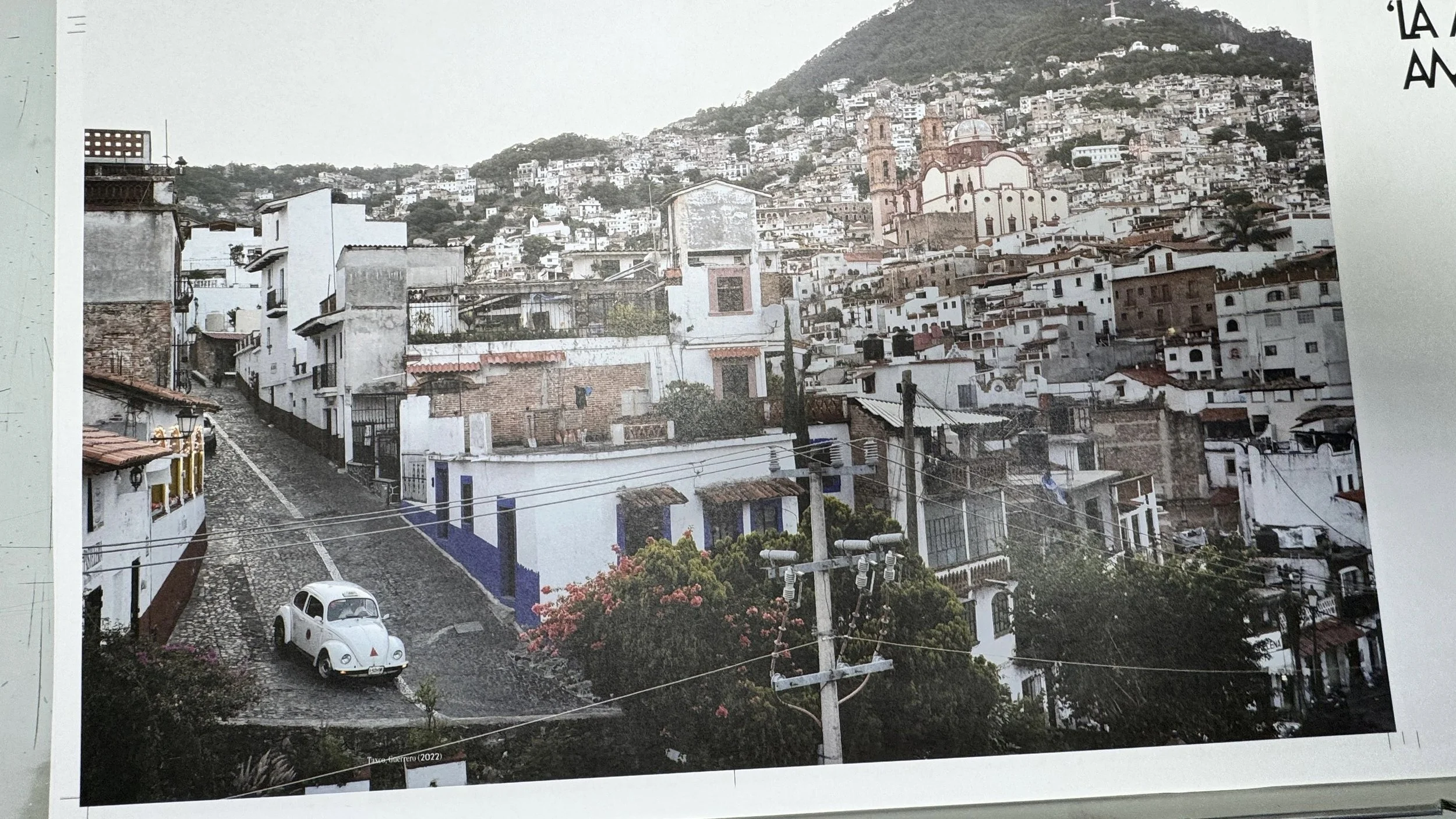 Volkswagen Beetle Book