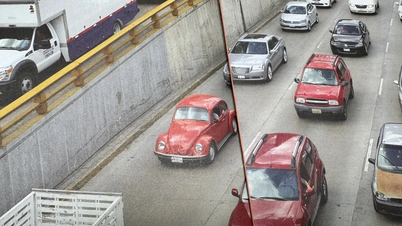 Volkswagen Beetle Book