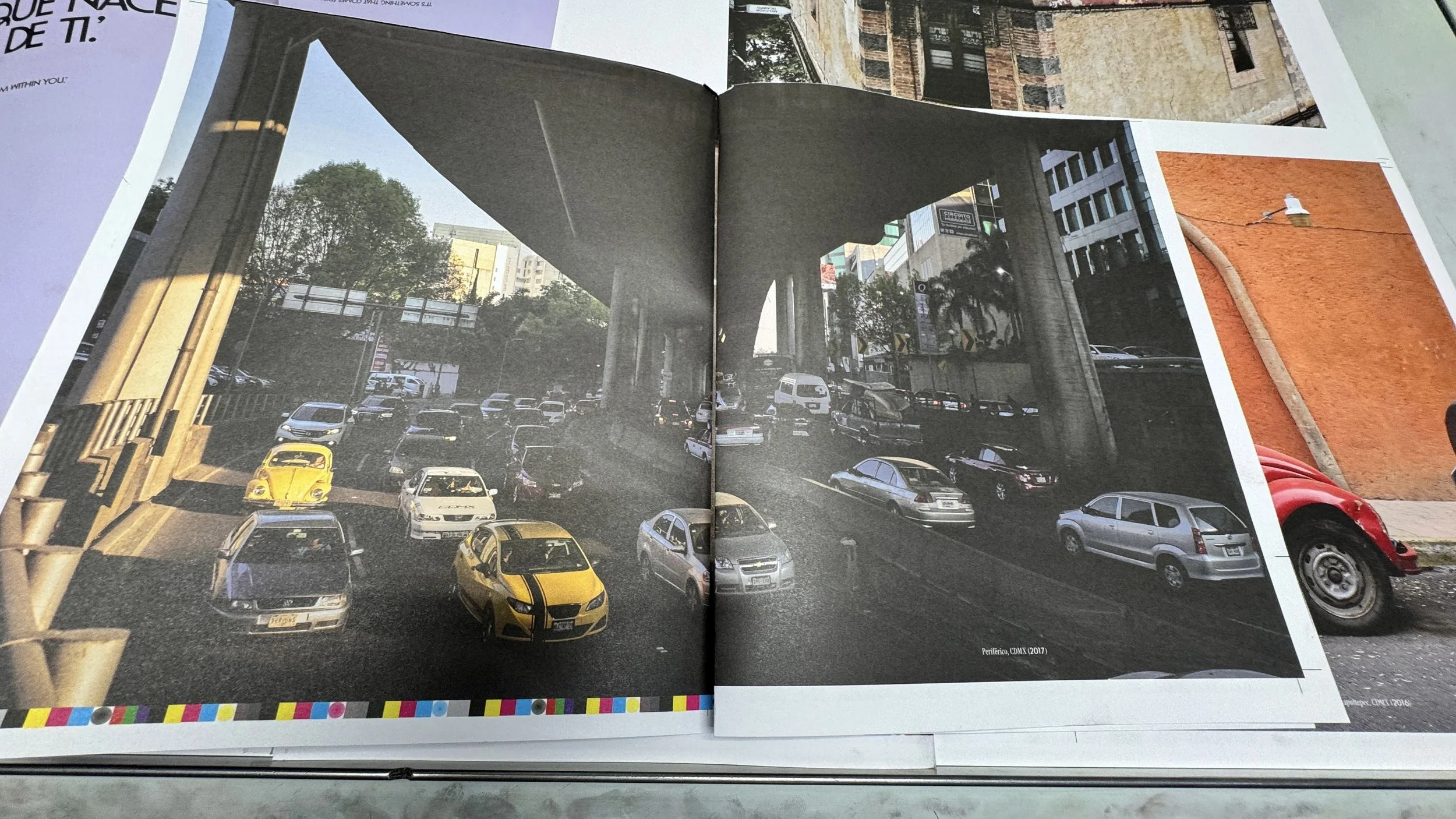 Volkswagen Beetle Book - Vochos Unidos