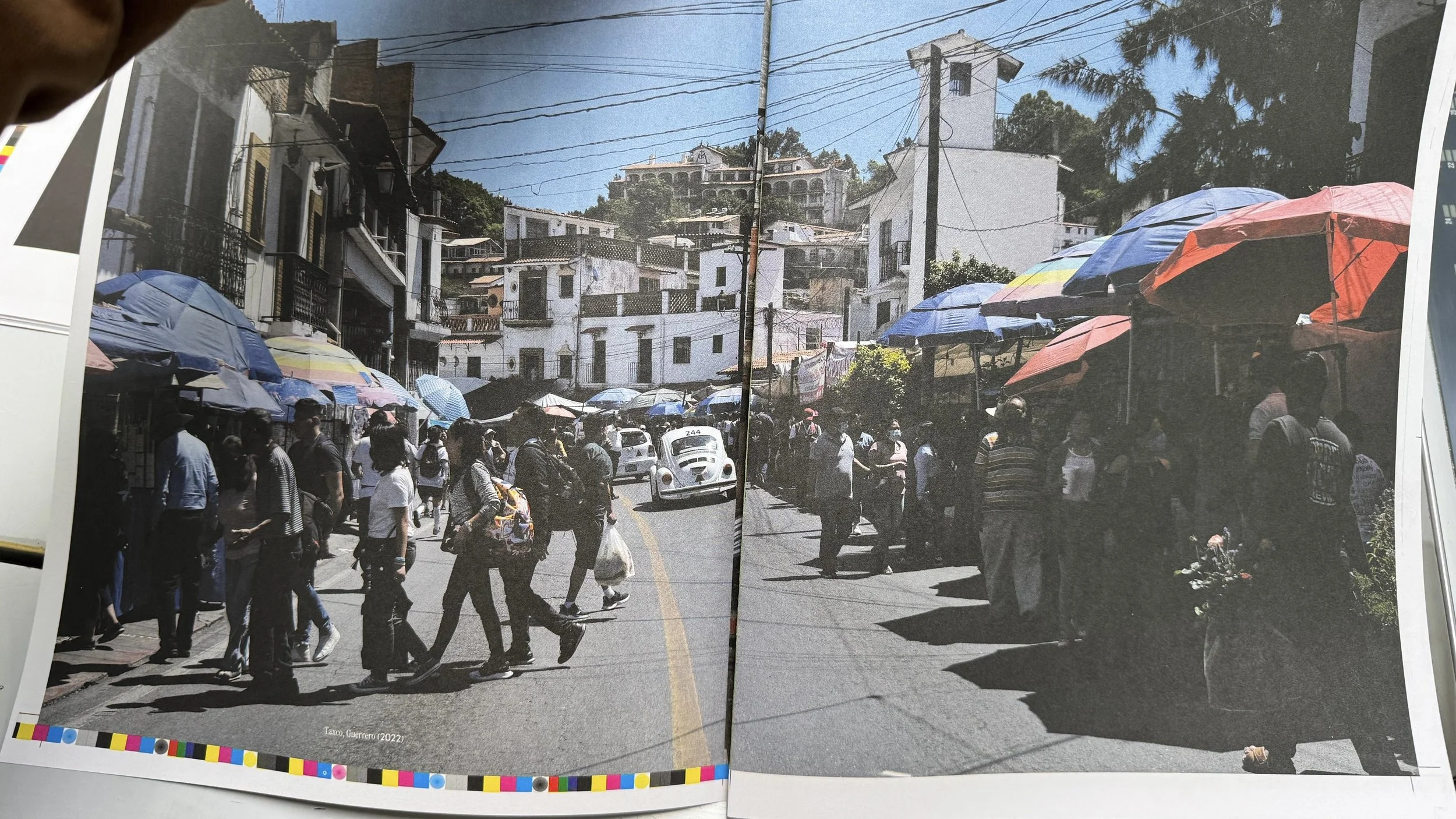 Volkswagen Beetle Book - Vochos Unidos