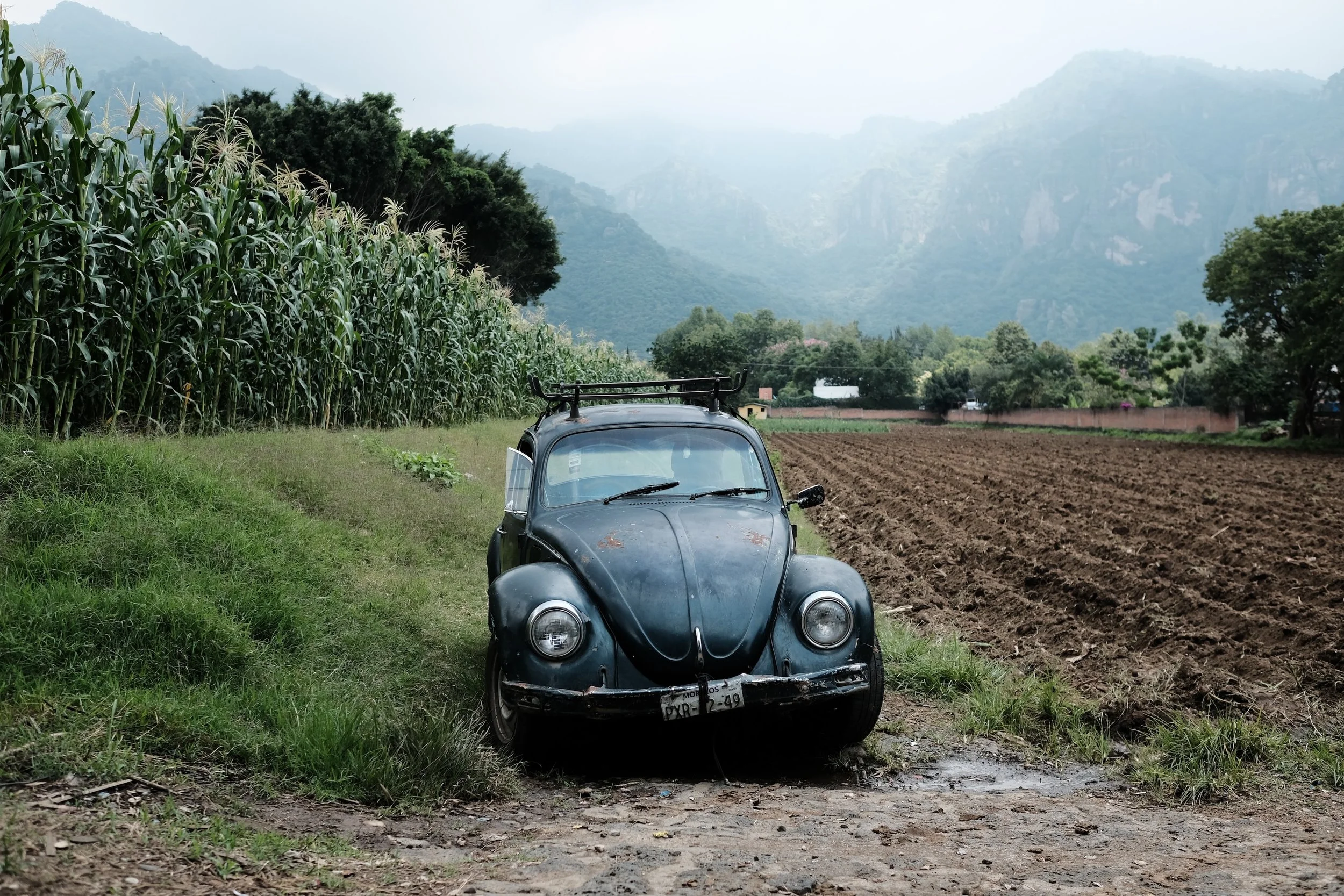 5 Vochos that Perfectly Represent Mexico’s Volkswagen Beetle Culture