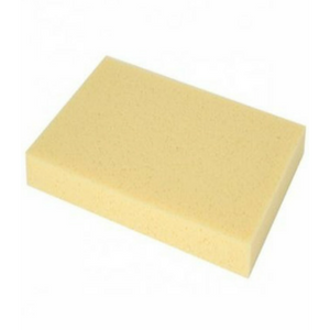 Sponges
