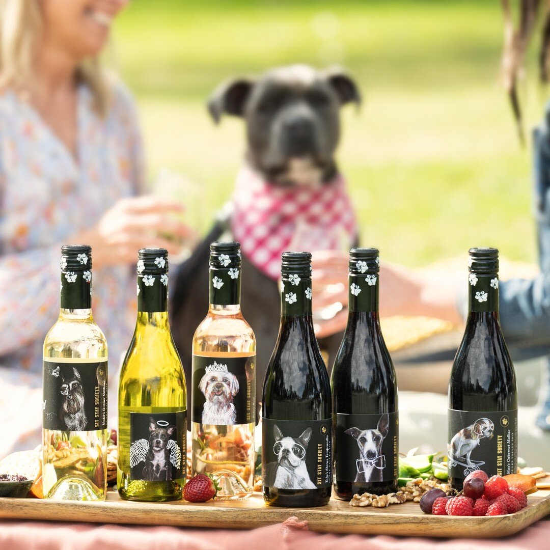 Such fond memories of this fun photo-shoot with @wendychung_photographer for #sitstaysocietywine!  Fifty cents from every bottle sold in the range is donated to PetRescue&rsquo;s adoption programs and services. 👏  The latest addition to the range is