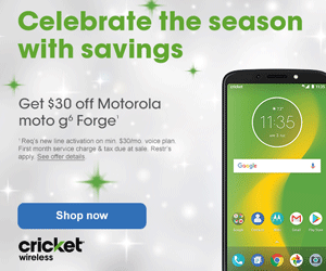 BestBuy_Holiday_Stars_MOTO_g6_Forge_300x250-GIF.gif