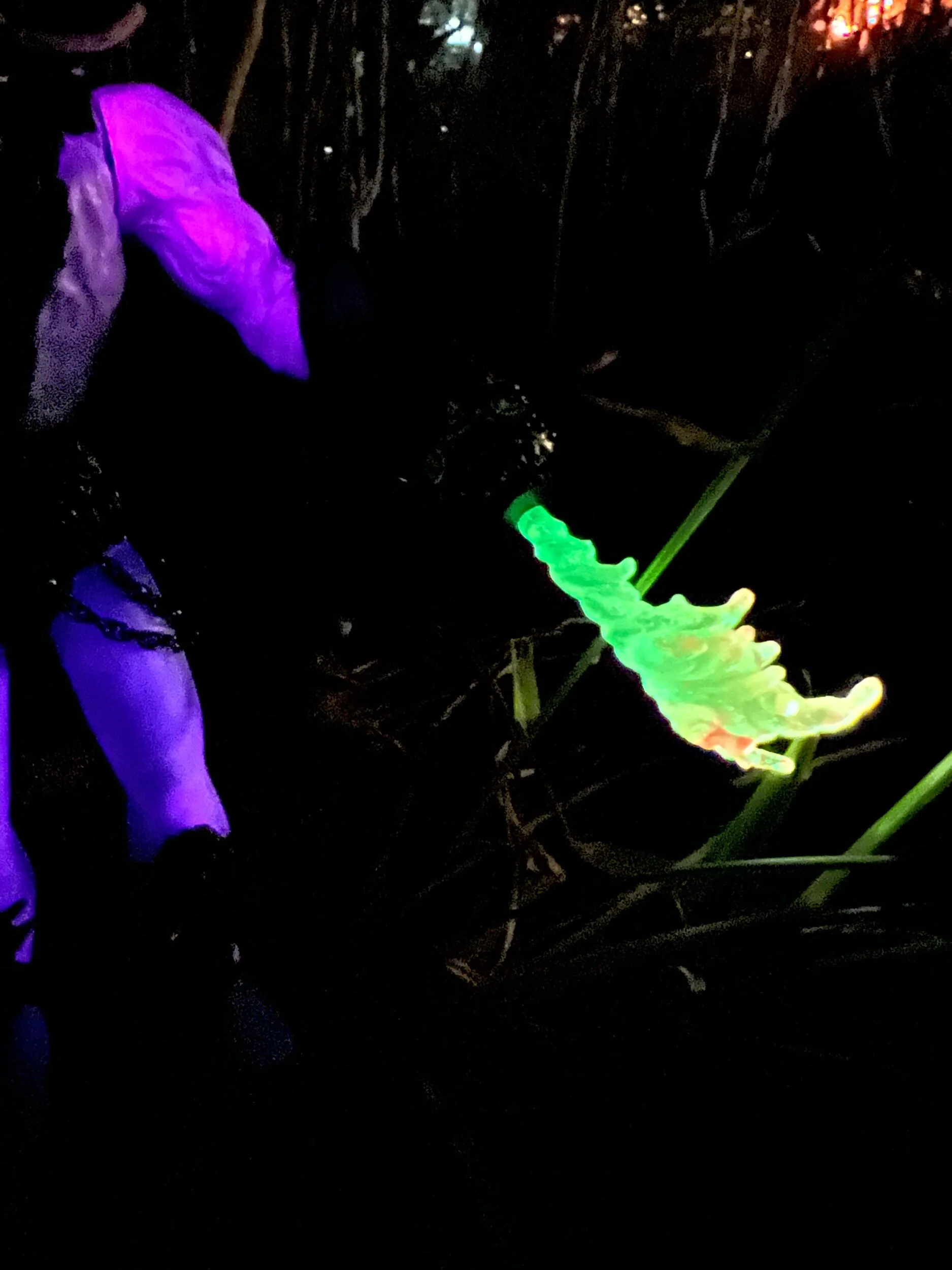 461CB744-040C-432E-81E1-E262FE05777C