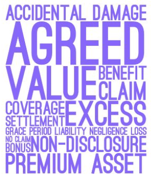 Understanding the key terms in the insurance industry