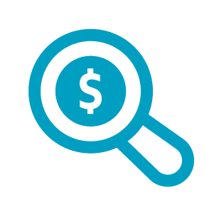 tax-audit-insurance-icon.png