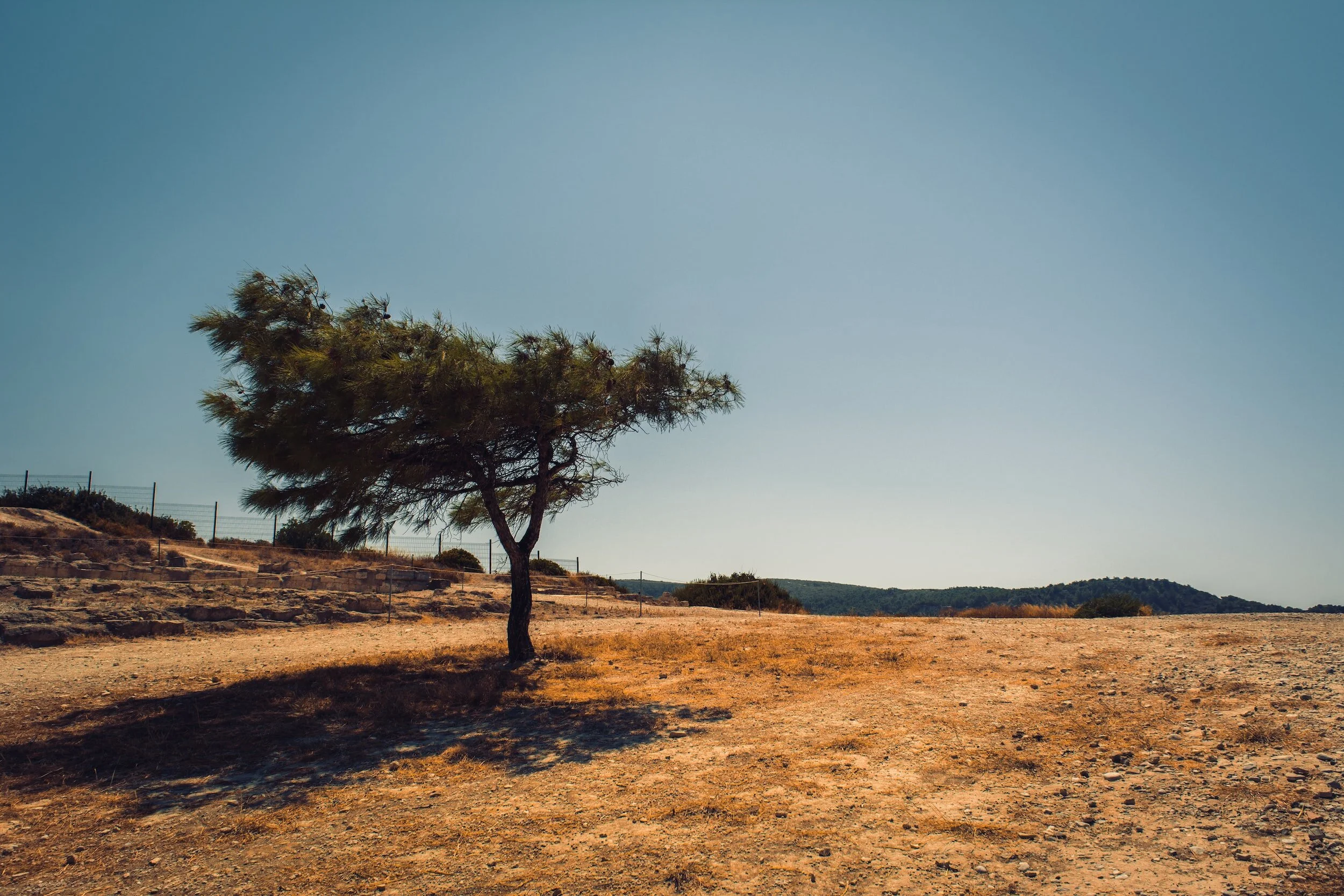 Is Your Farm Risk-Ready for the Potential El Nino in 2023?