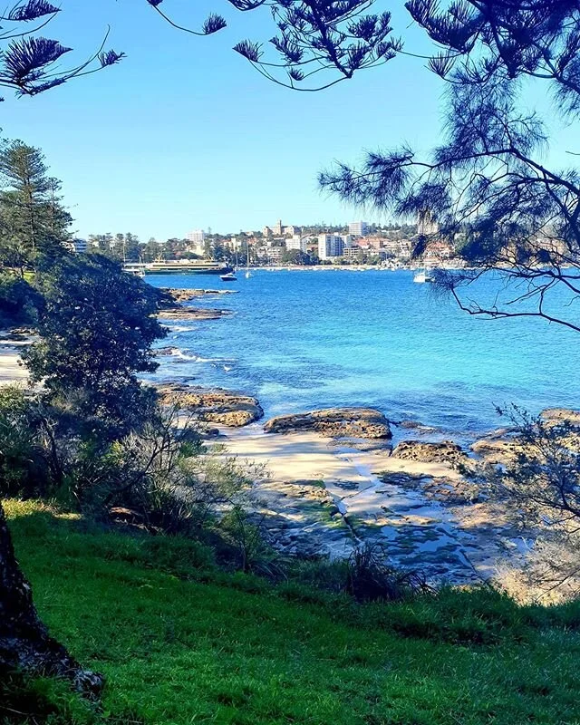 Sydney Harbour walk. Lovely way to start the week. #manlywalks #fairlightwalk