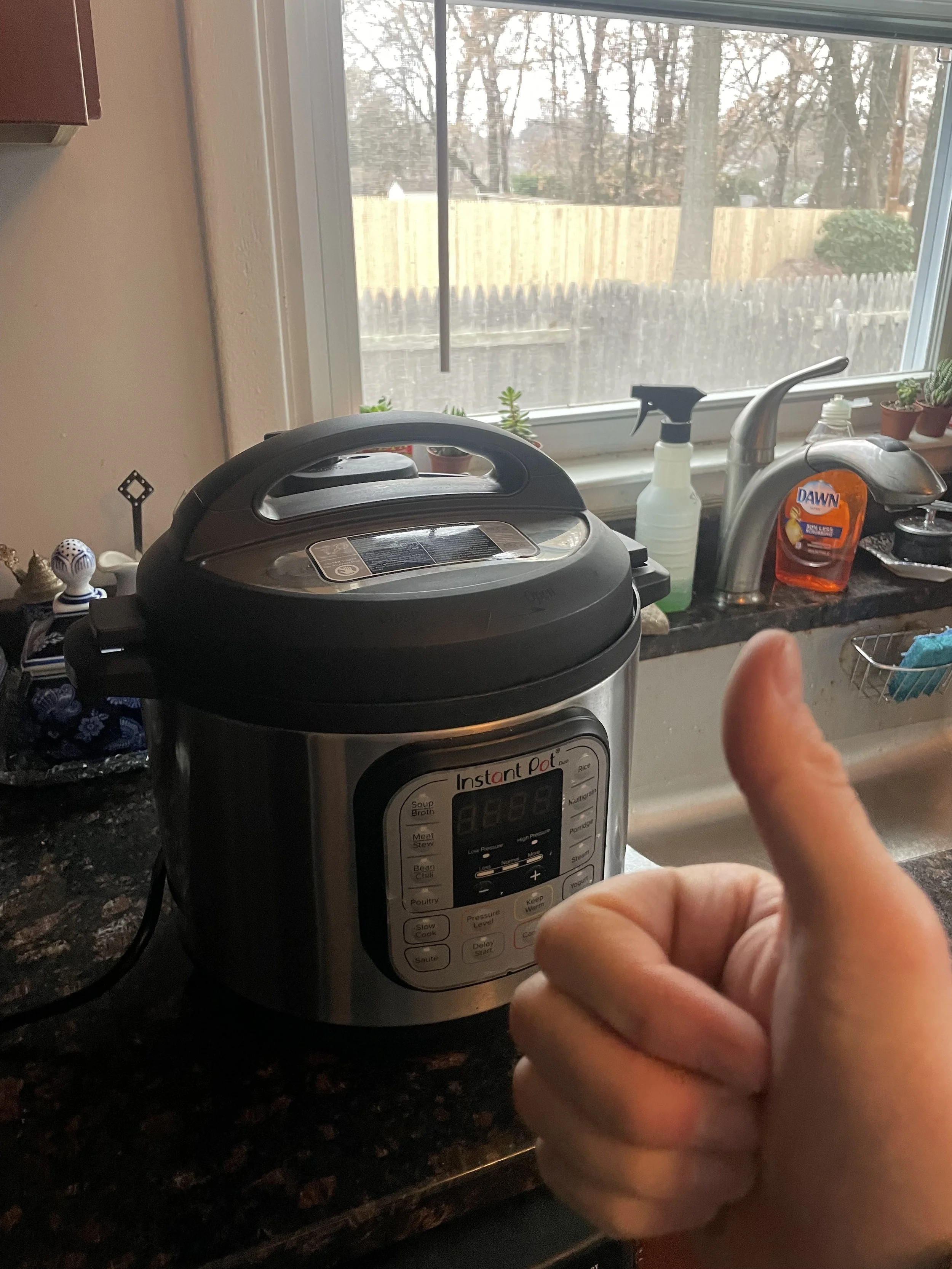 Easy + High Protein Foods