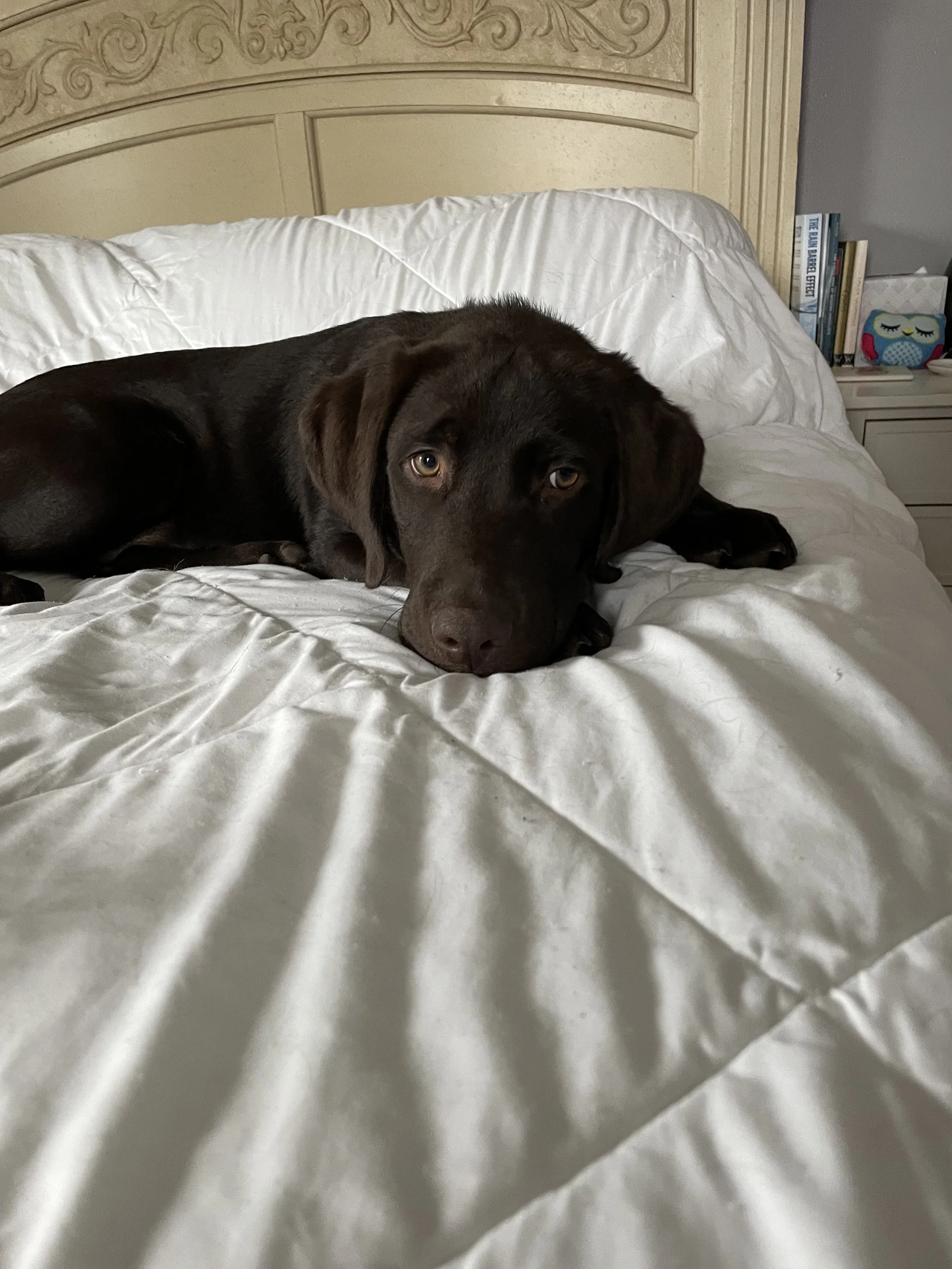 Sleep Hacks For Better Sleep