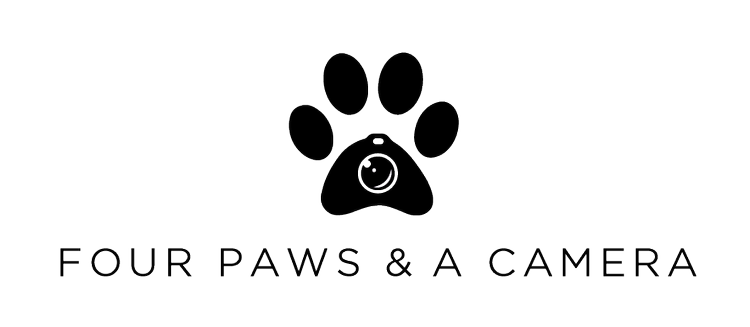Four Paws and A Camera