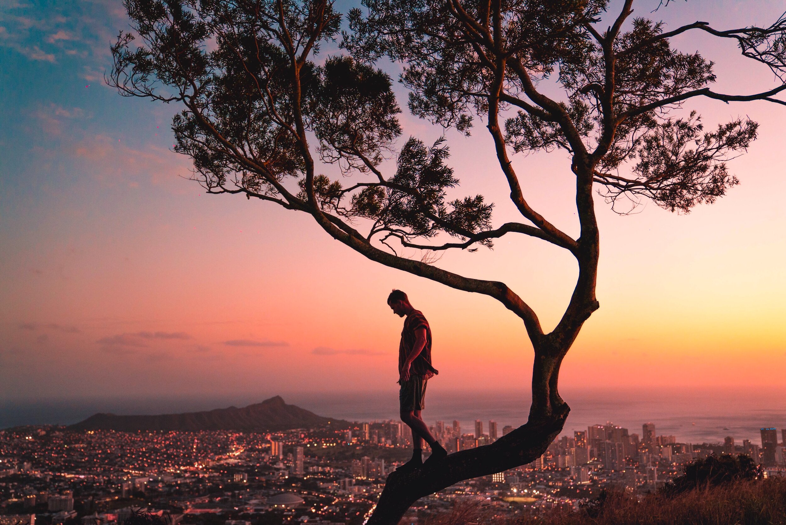 man-standing-on-tree-branch-during-sunset-3618162.jpg
