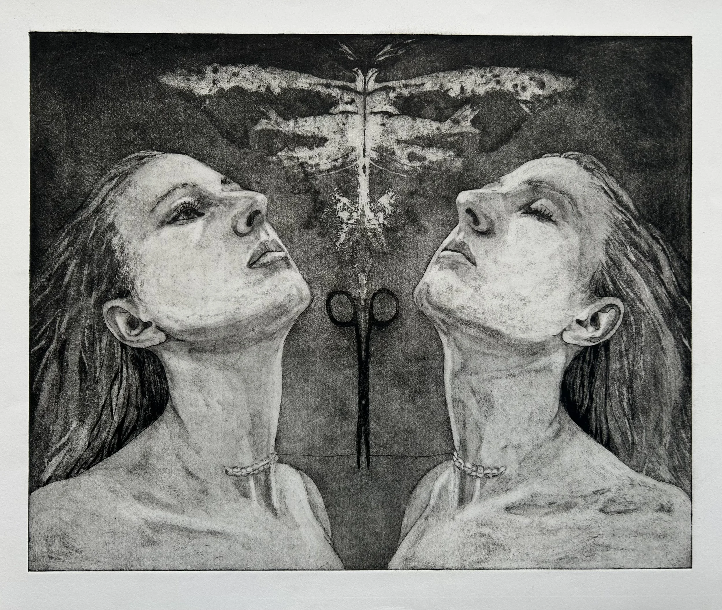 Imago