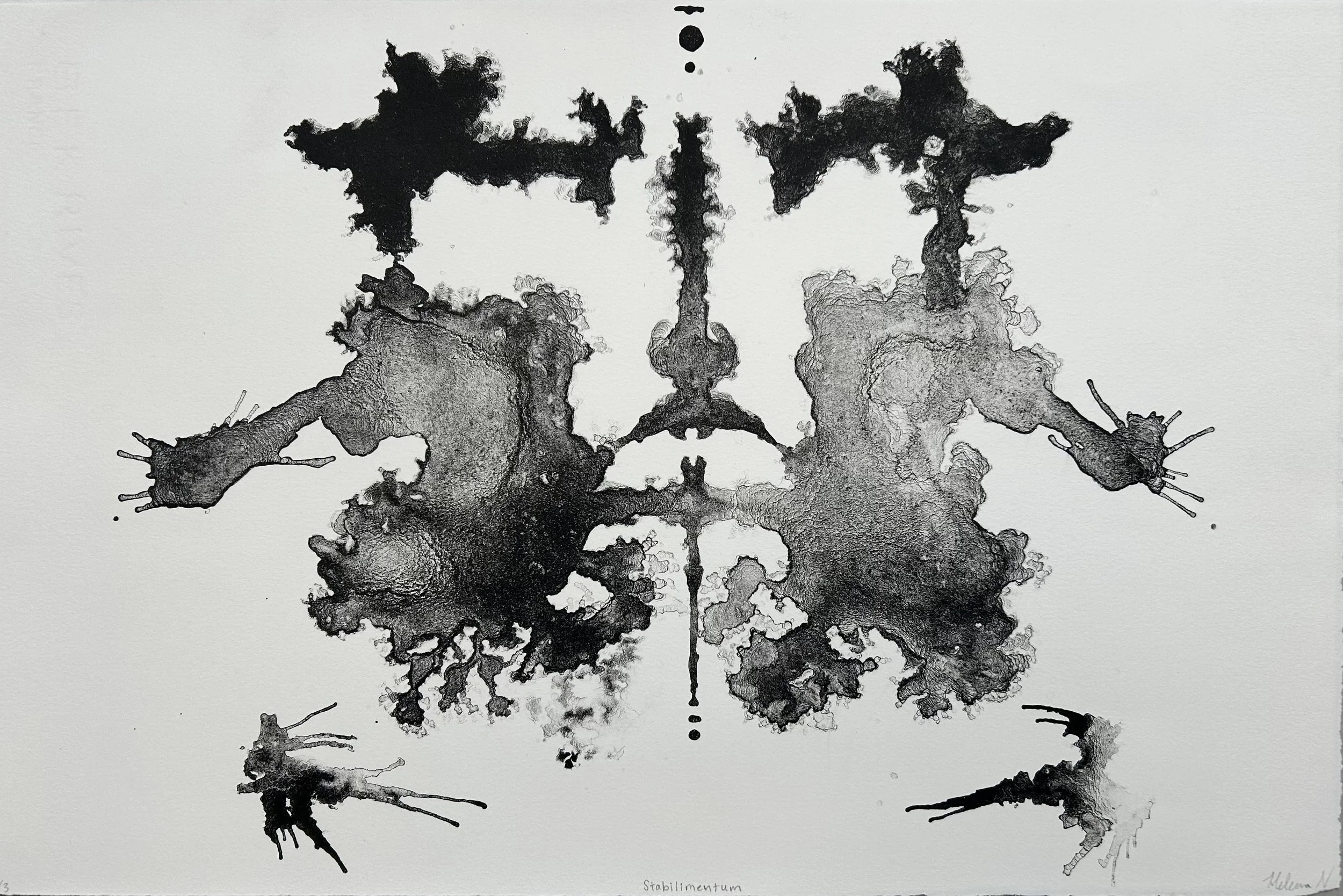 Stabilimentum