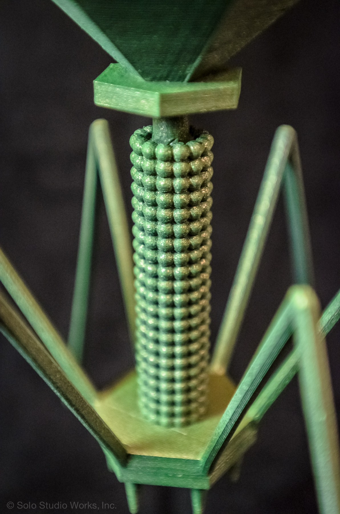 BACTERIOPHAGE-5328.jpg