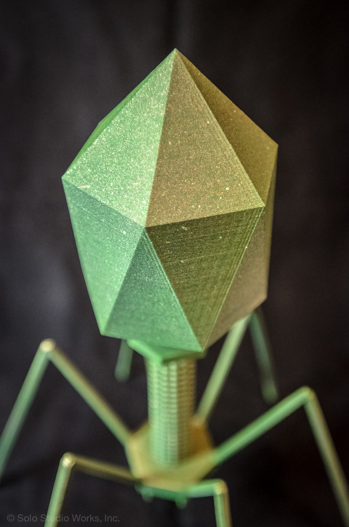 BACTERIOPHAGE-5329.jpg