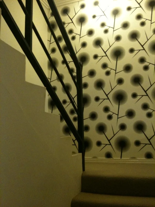 photo.jpg