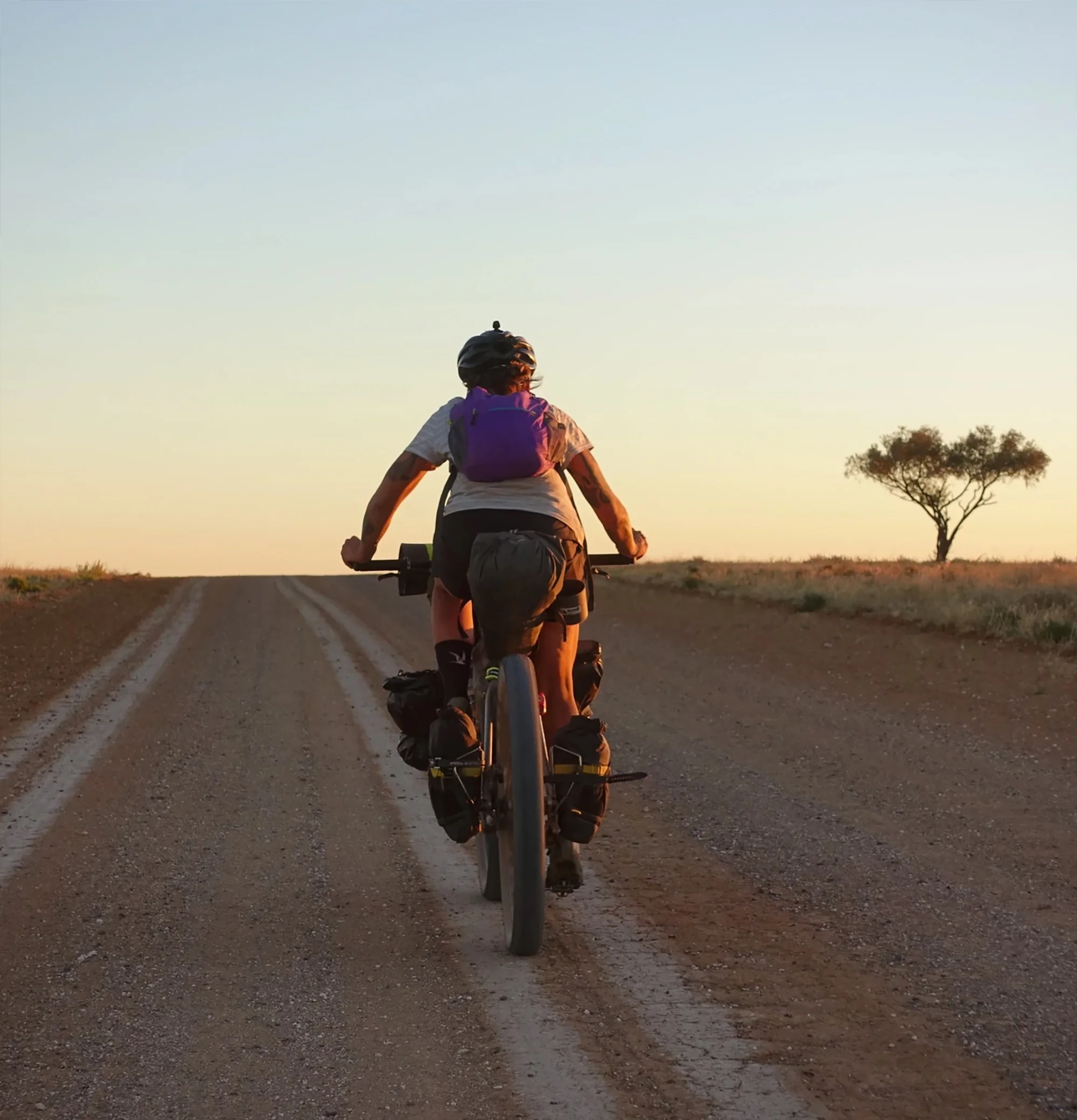 The Curve Rocket Pooch debuts at Race to the Rock 2019