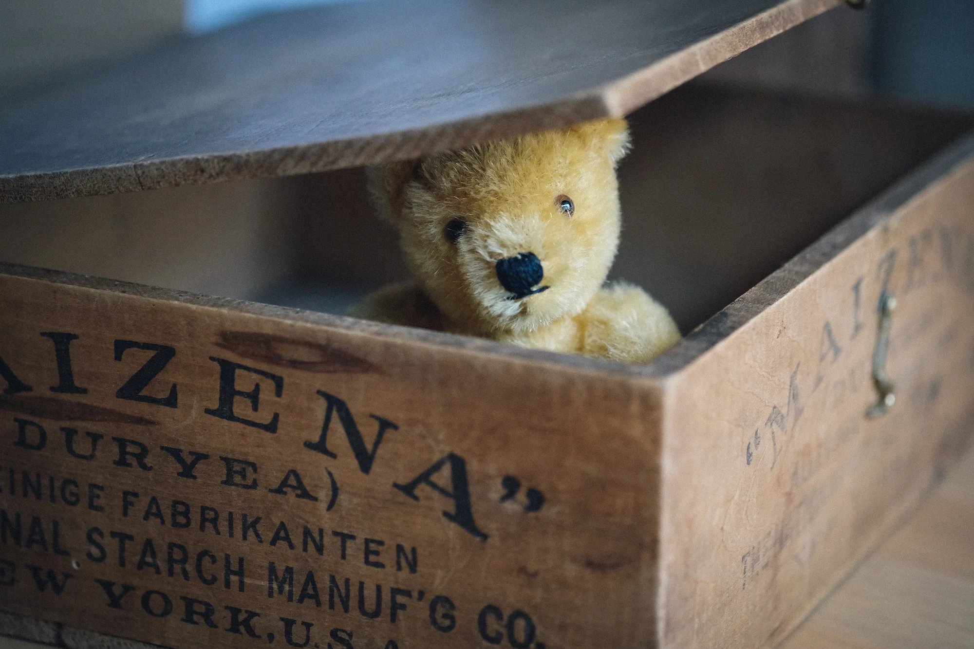 Bei eBay sehr beliebt: Steiff-Teddys und Plüschtiere (Foto: Oliver Symens )