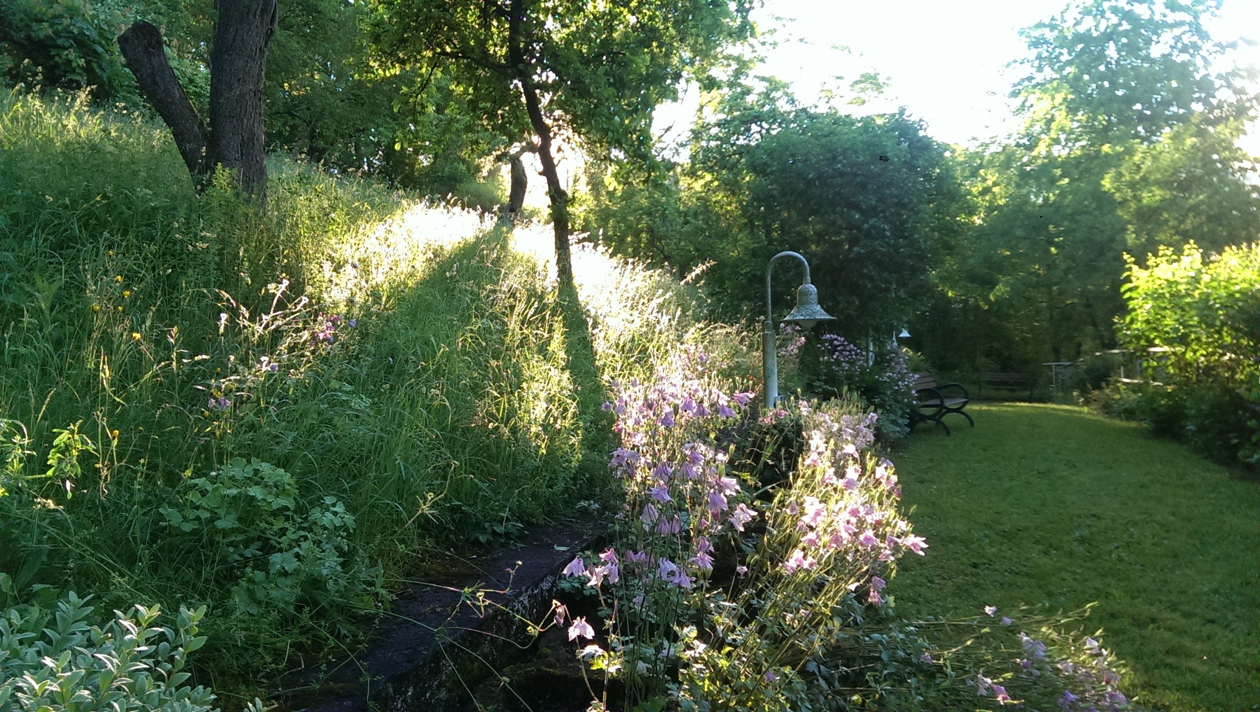 Nature & Trails directly behind clinic