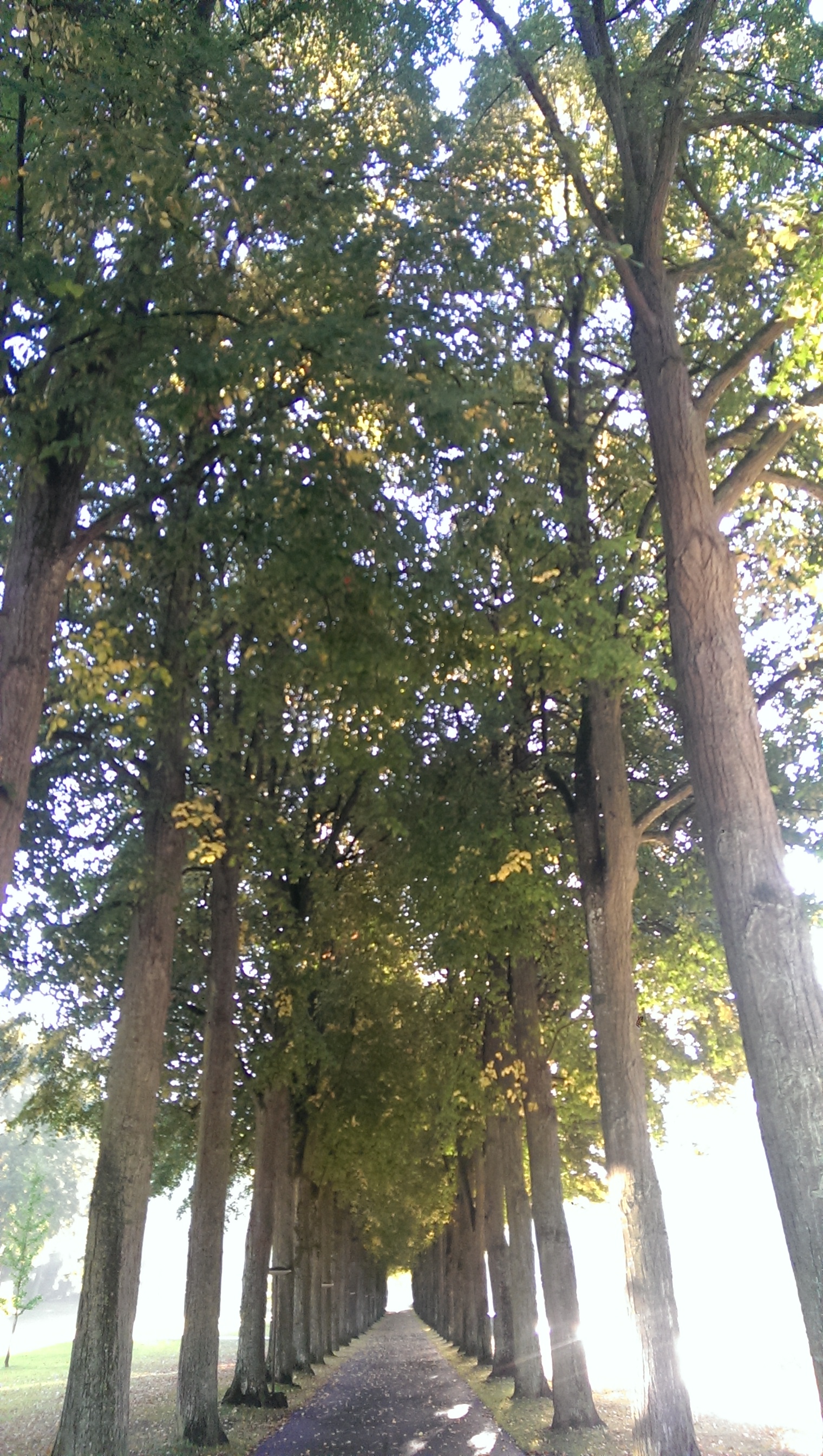 Walk in Kurpark