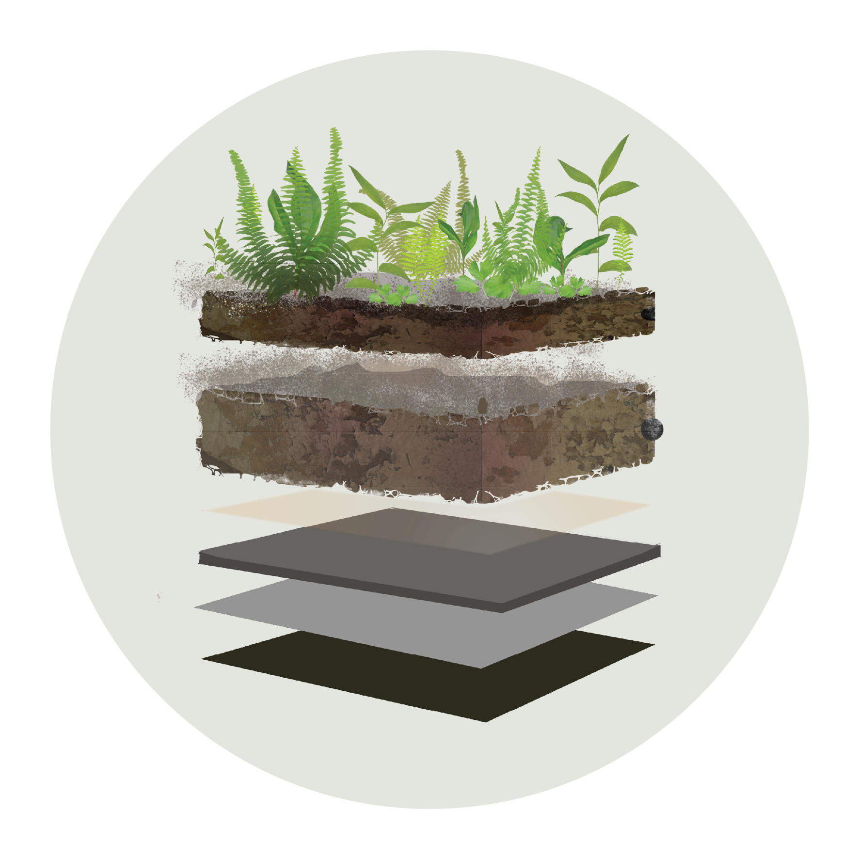 Soil.png
