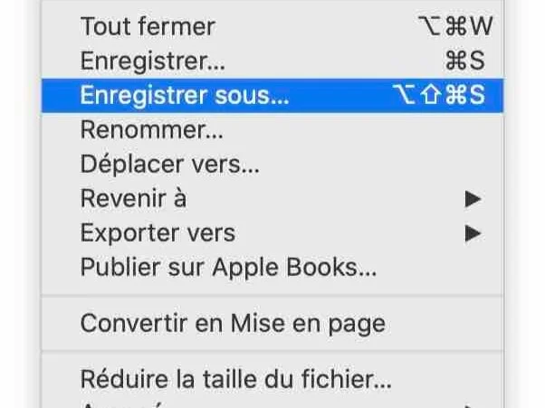 Quelle est la différence entre Enregistrer ou Enregistrer sous ?