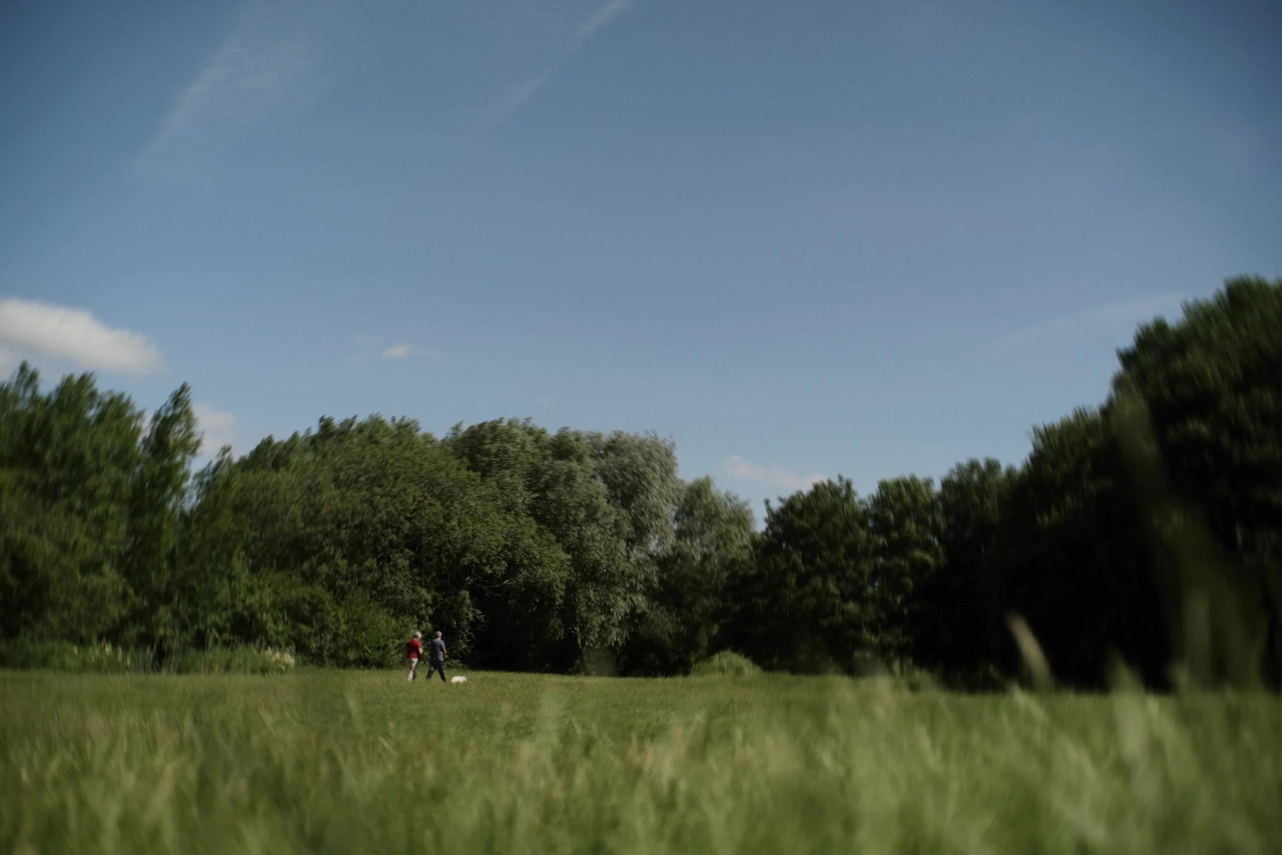frame_853.jpg