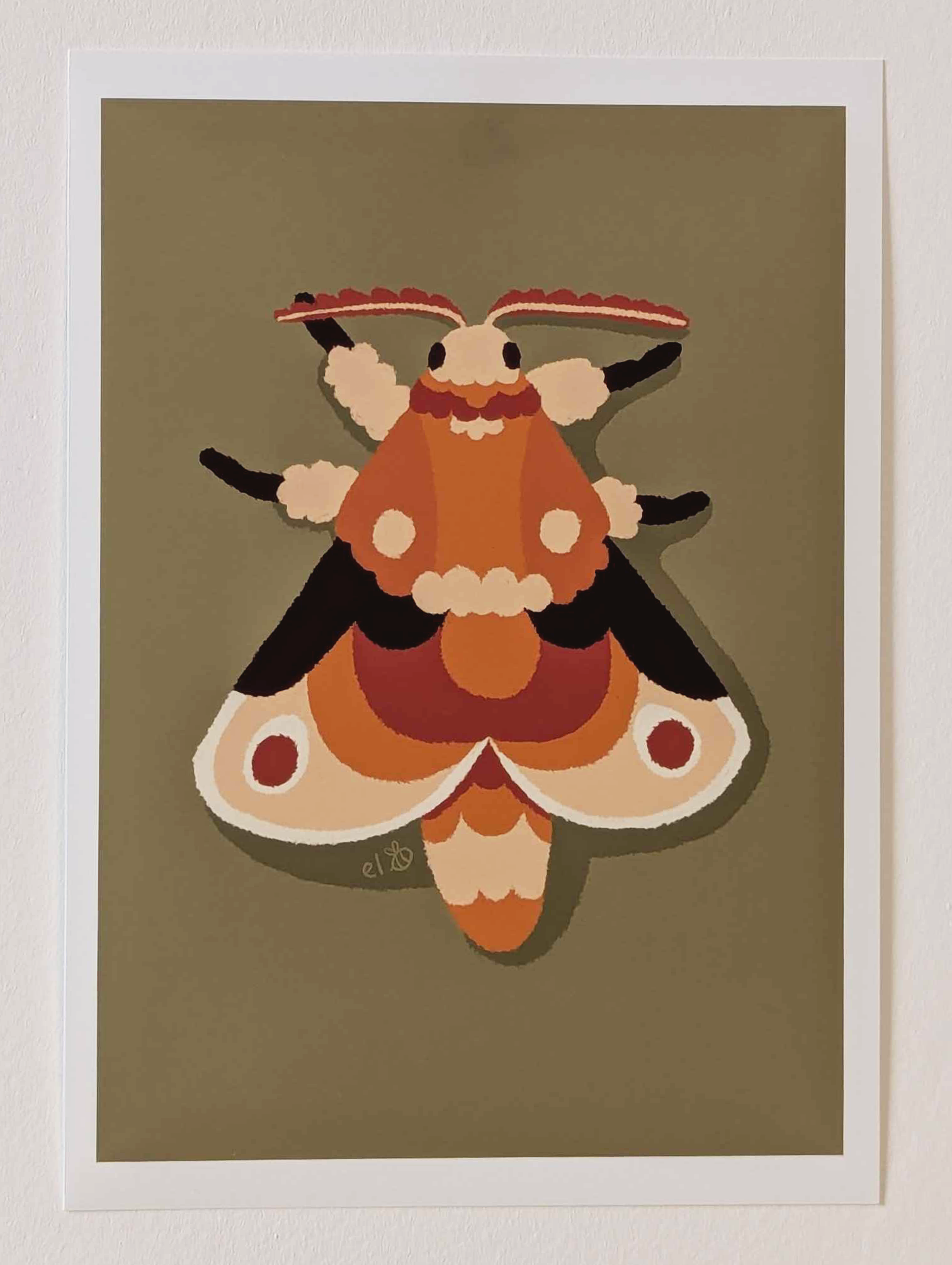 Flannel Moth | A5 Print