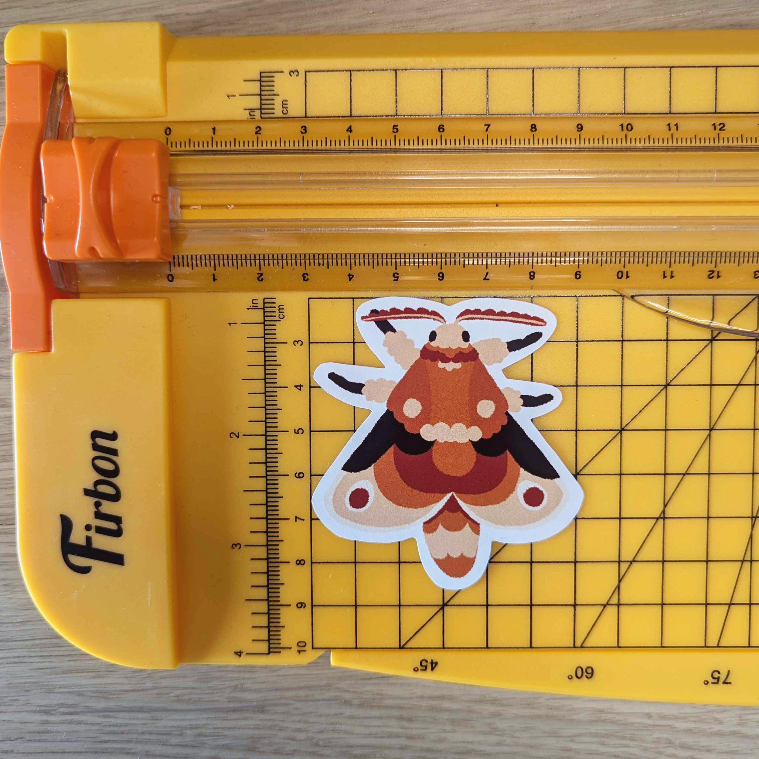 moth_measure.png