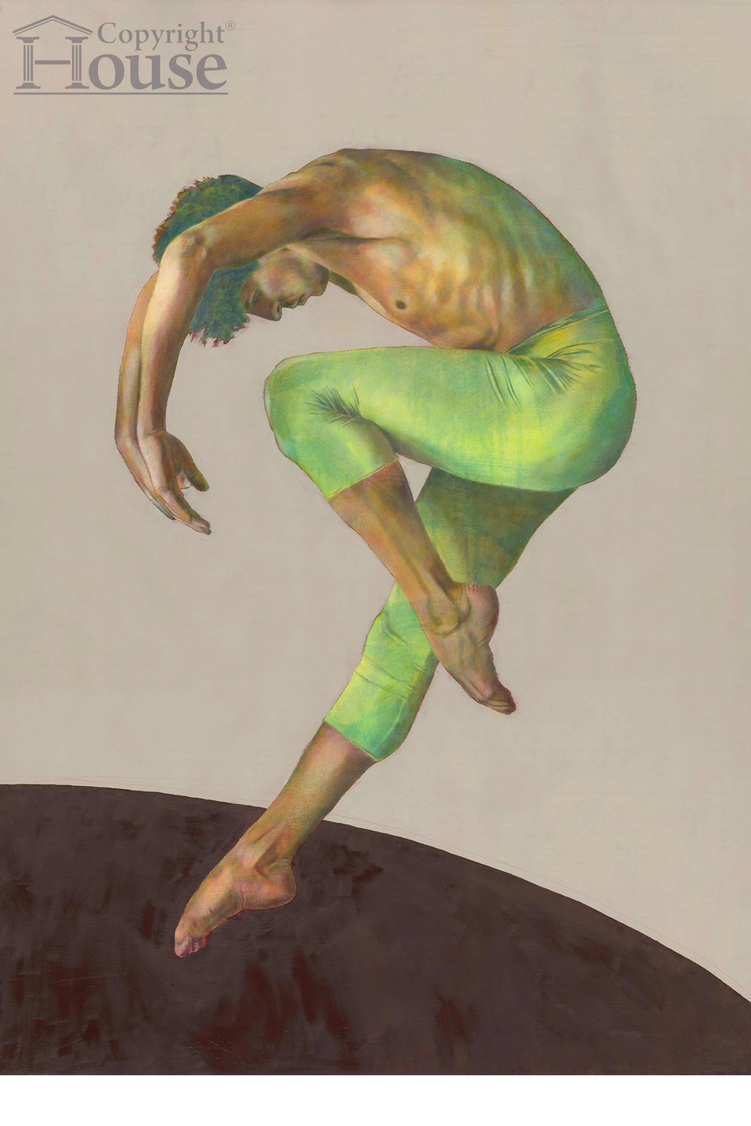 Curved Flight 1 web image.jpeg